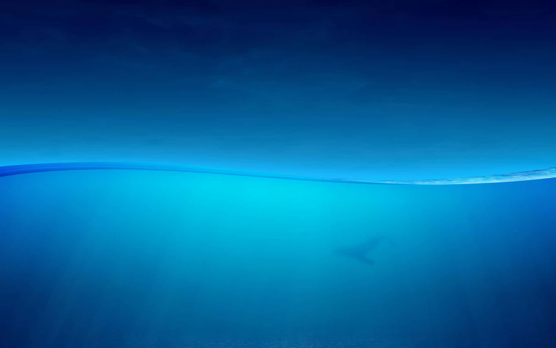 海洋藍 桌布 壁紙 — 平靜的分割視圖，展示海面與深藍色水下，鯊魚剪影在下方滑行。