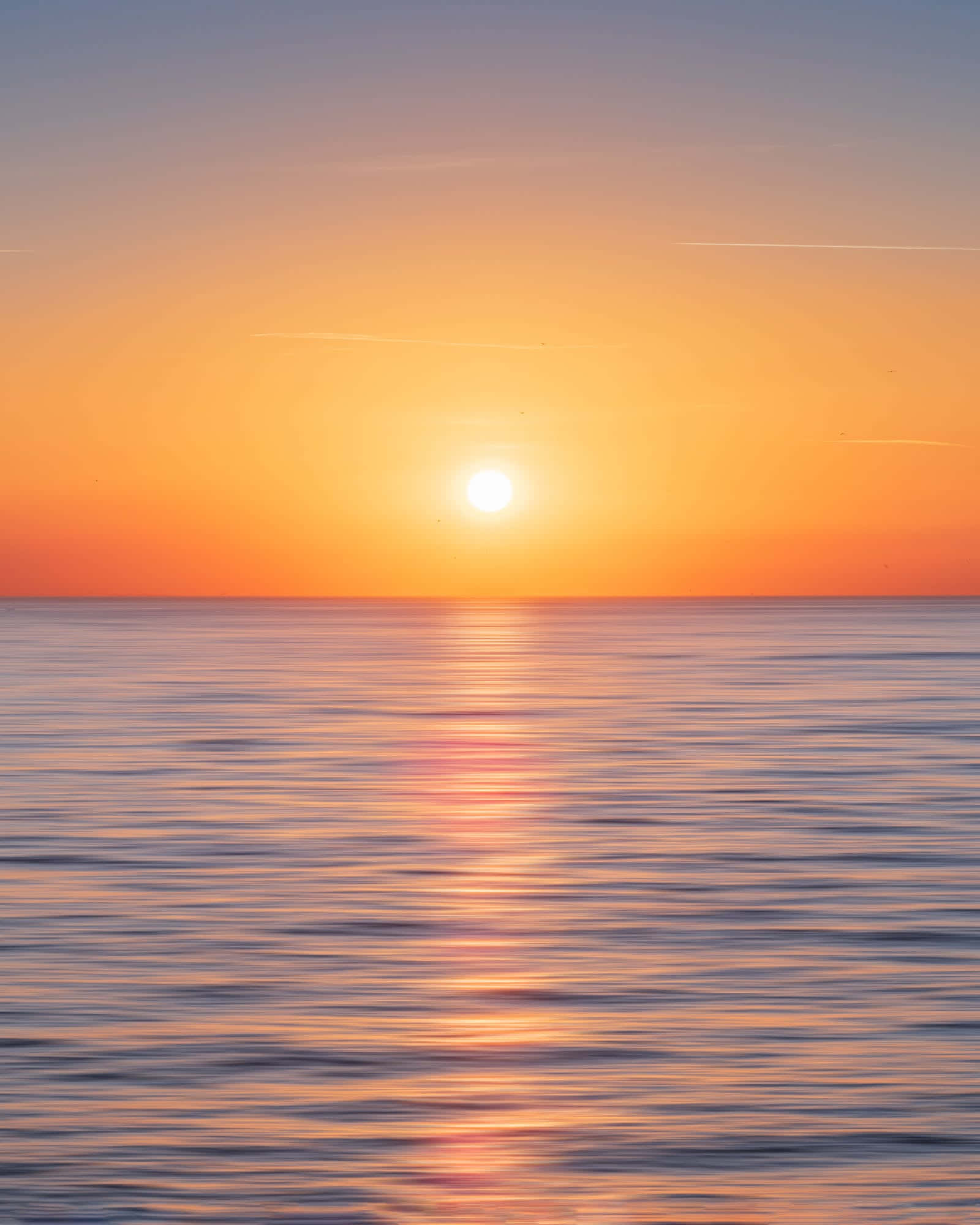 Cute Sunset 桌布 壁紙 — 平靜的海面上，夕陽西下，金色的倒影映照在水面上。