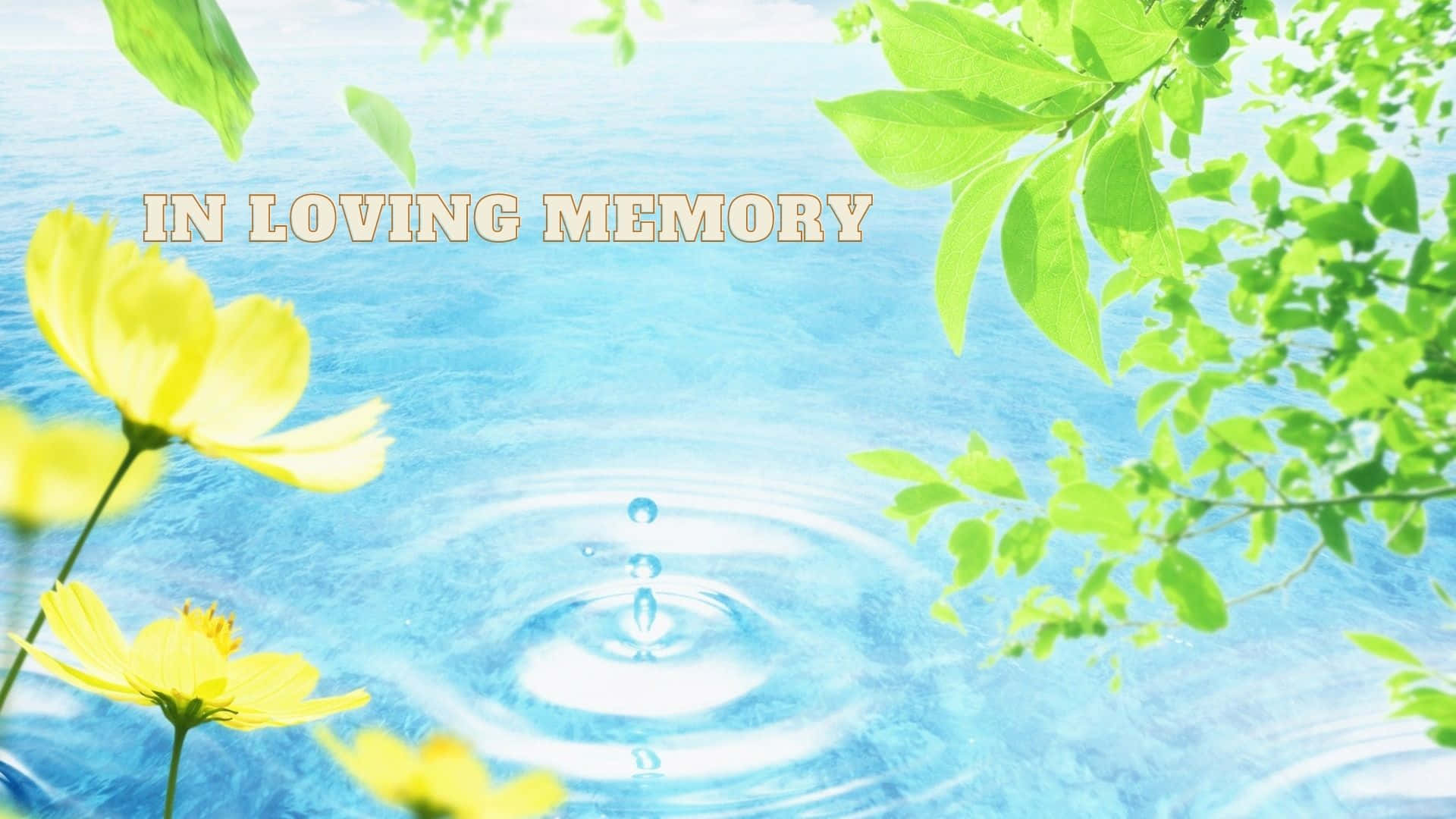 Water Droplet 桌布 壁紙 — 平靜的藍色水面，水滴落下泛起漣漪，周圍環繞著鮮綠的葉子和黃色花朵，並有文字紀念所愛的人。