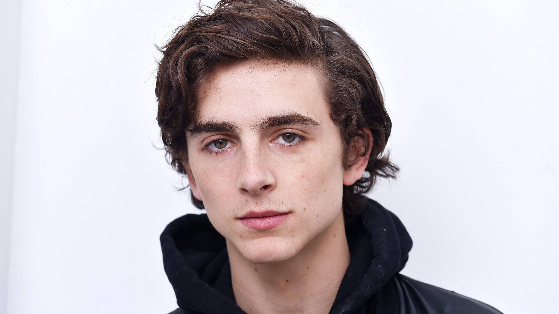 Timothée Chalamet 桌布 壁紙 — 年輕男子特寫肖像，波浪形棕色頭髮，眼神專注，身穿黑色連帽上衣，背景為純白色。