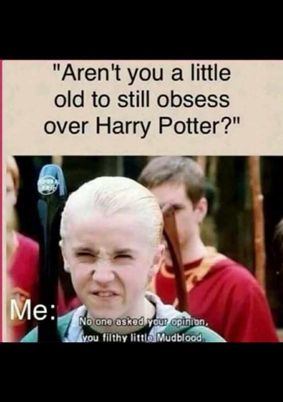 Funny Harry Potter 桌布 壁紙 — 年輕的Draco Malfoy怒目而視，手持魔杖，文字疊加顯示哈利波特迷因。