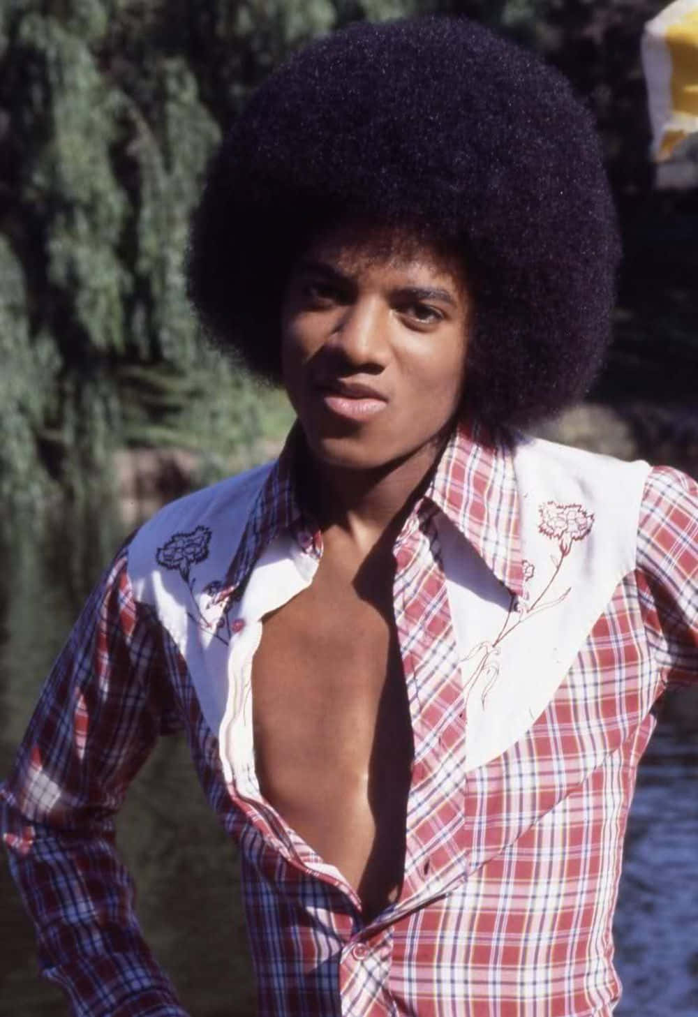 Young Michael Jackson 桌布 壁紙 — 年輕的麥可傑克森留著大爆炸頭，身穿開胸格紋襯衫，站在戶外近水處，背後有樹木。