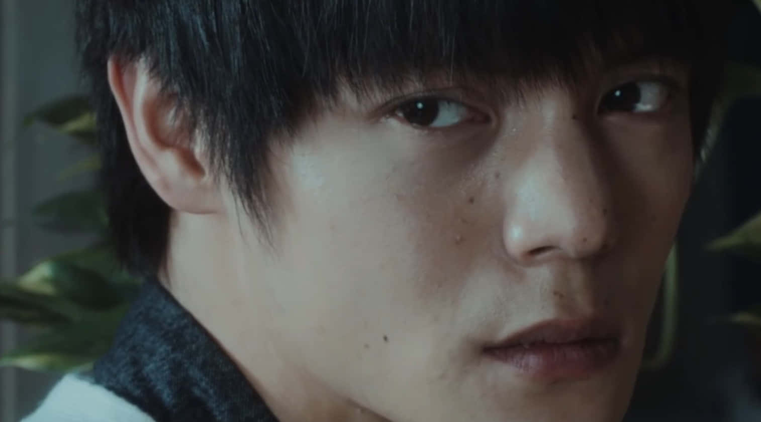 Tokyo Ghoul Movie 桌布 壁紙 — 年輕黑髮男子在柔和光線的室內環境中的特寫，眼神專注。