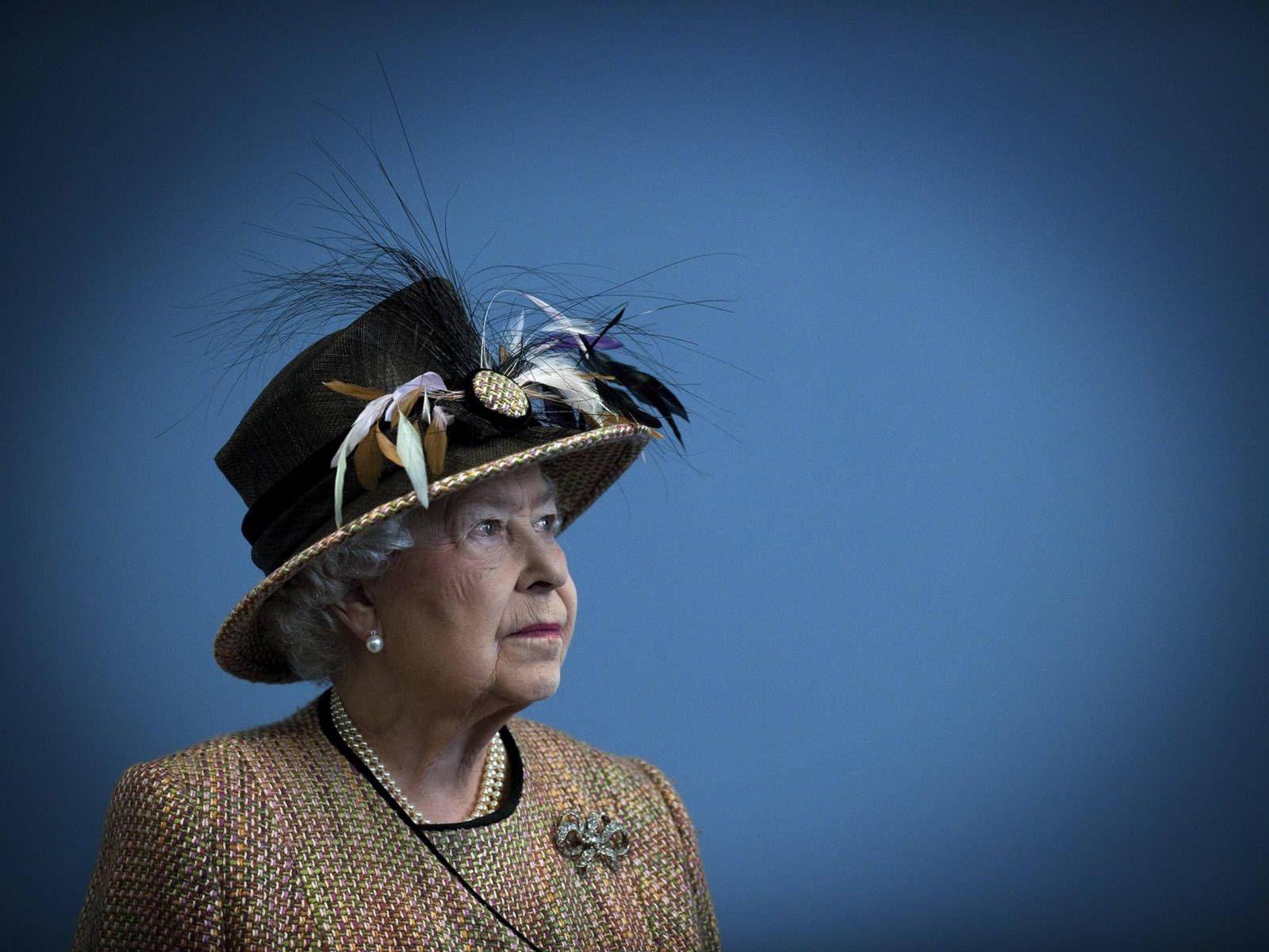 Queen Elizabeth 桌布 壁紙 — 年長女性戴著華麗羽毛帽和質感外套，在純藍色背景下若有所思地凝視。