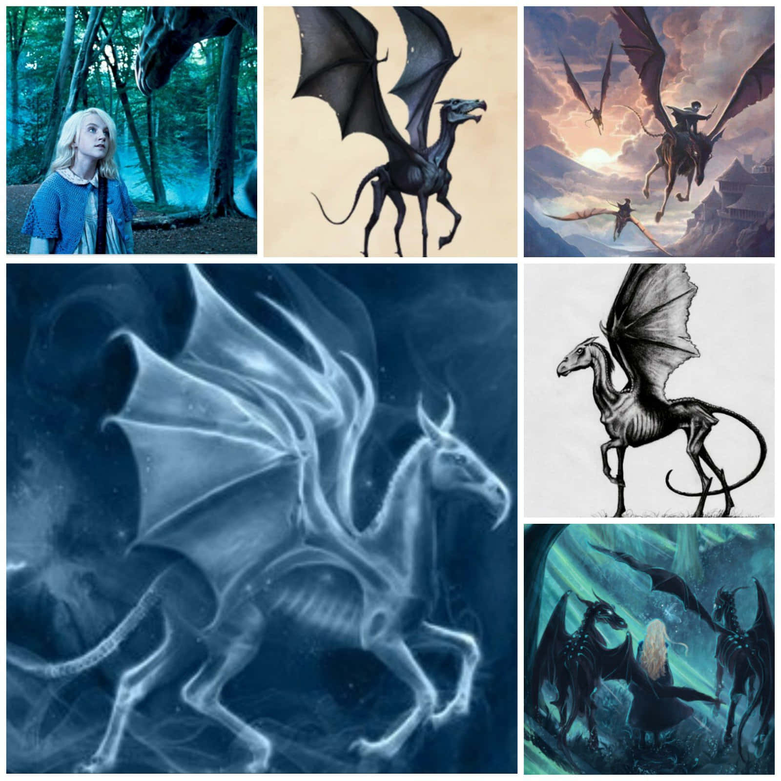 Thestral 桌布 壁紙 — 幻想獅鷲的拼貼畫，風格多樣，從空靈發光的形式到骨骼素描和戲劇性的森林場景。