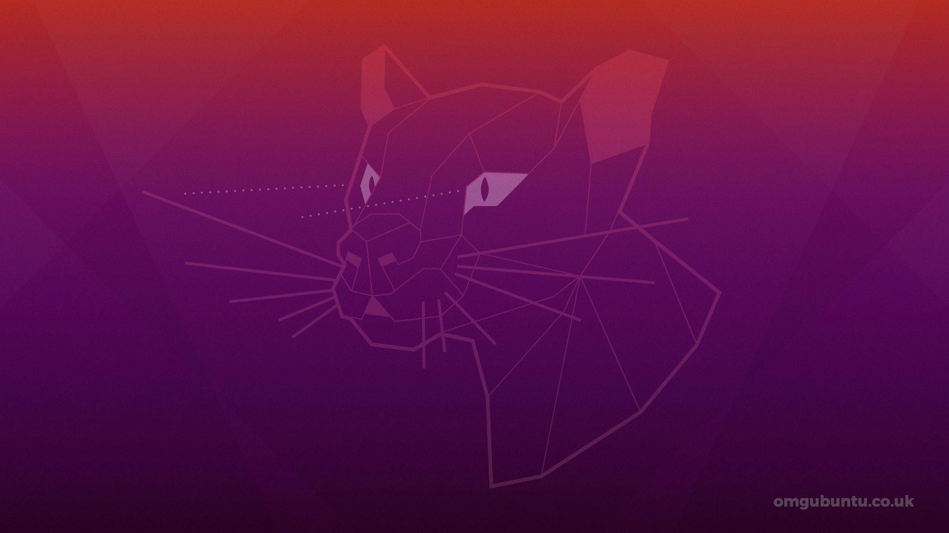 ubuntu 桌布 壁紙 — 幾何線條藝術的豹頭，以紫色和紅色漸變在深色背景上。