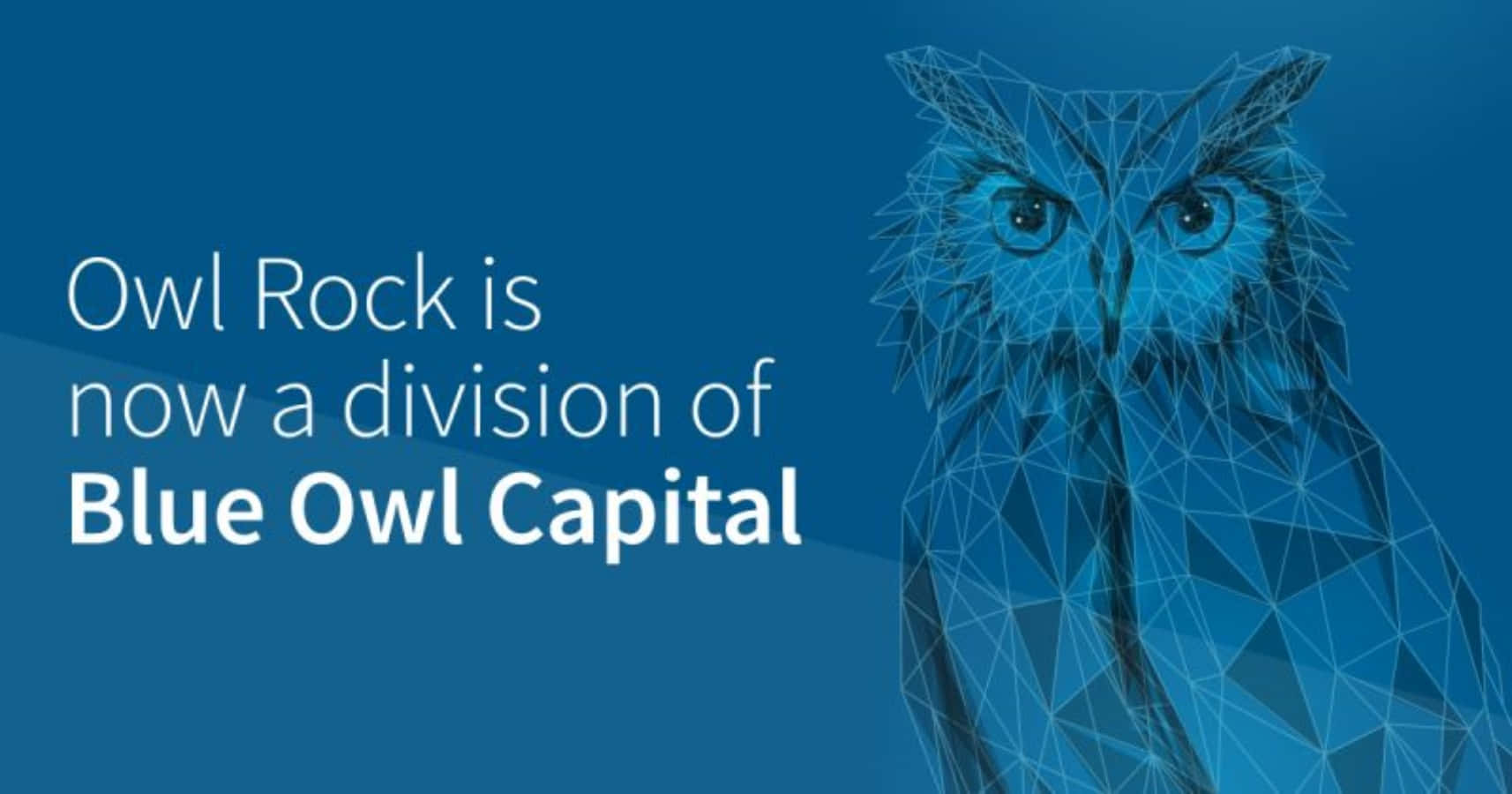 藍色貓頭鷹 桌布 壁紙 — 幾何藍色貓頭鷹插圖，附有文字宣佈 Owl Rock 為 Blue Owl Capital 的一個部門。