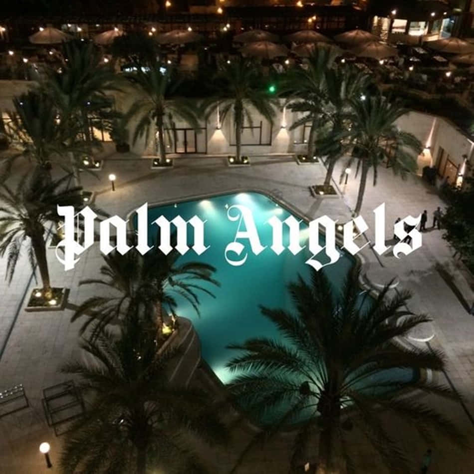 Palm Trees 桌布 壁紙 — 度假村內一個發光的藍綠色泳池的夜間鳥瞰圖，周圍環繞著棕櫚樹和點亮的庭院傘。