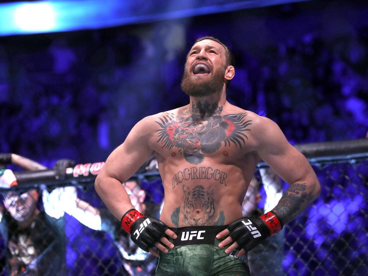 UFC 桌布 壁紙 — 康納·麥格雷戈在UFC八角籠中，在藍色場館燈光下，刺青閃耀，發出勝利的咆哮。