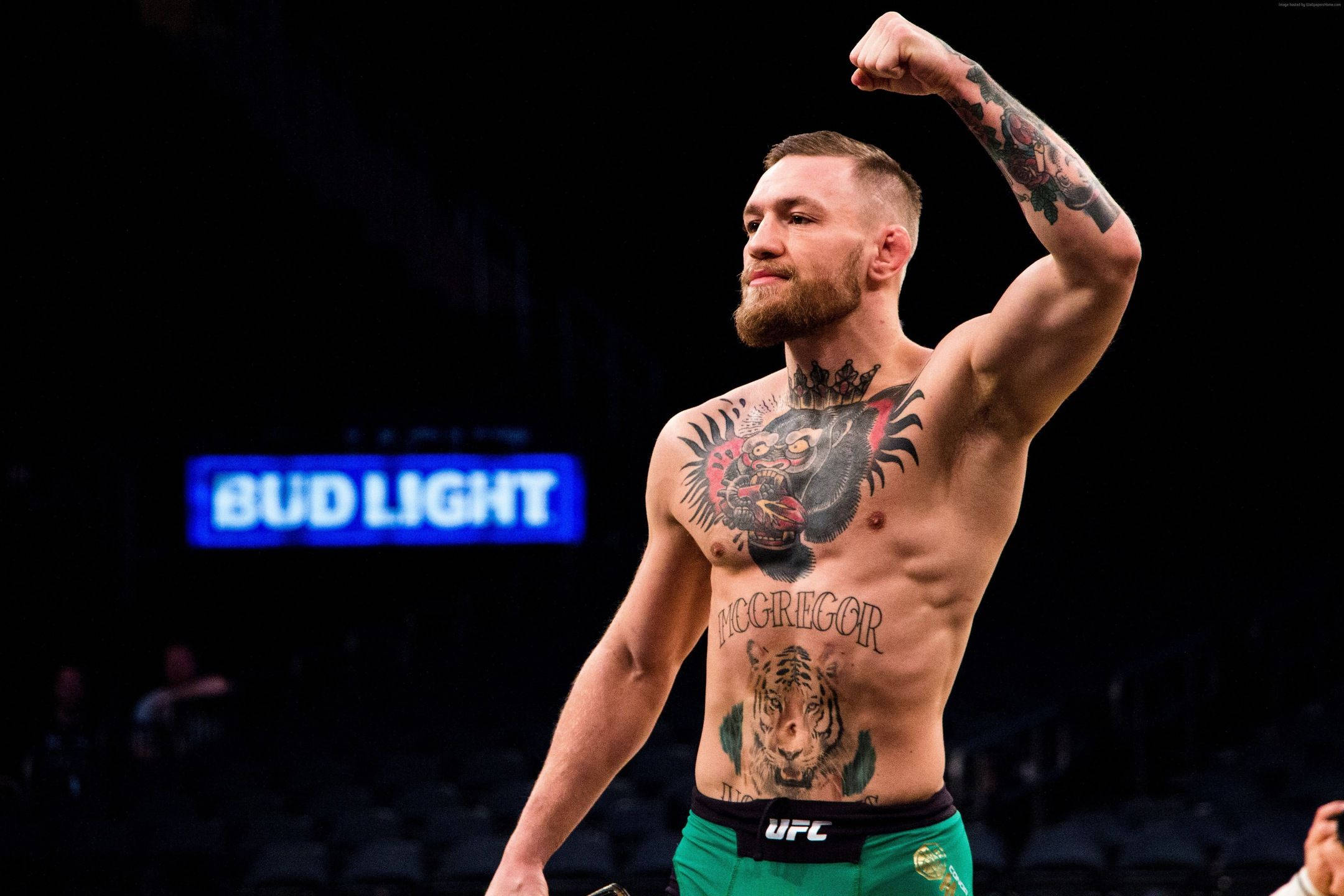UFC 桌布 壁紙 — 康納·麥格雷戈在明亮的燈光下，於UFC競技場中繃緊他帶有刺青的手臂，身後有Bud Light標誌。