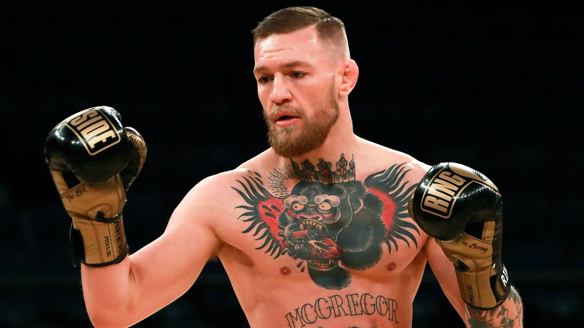 Mcgregor 桌布 壁紙 — 康納·麥格雷戈戴著拳擊手套，在競技場燈光下，胸前有大型紋身大猩猩，眼神銳利。