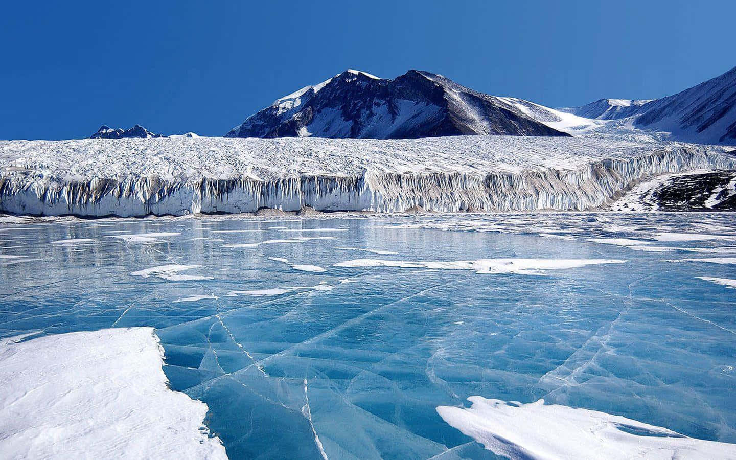 Antarctica 桌布 壁紙 — 廣闊冰川的鋸齒狀冰崖在清澈藍天下與裂開的藍色冰湖相遇。