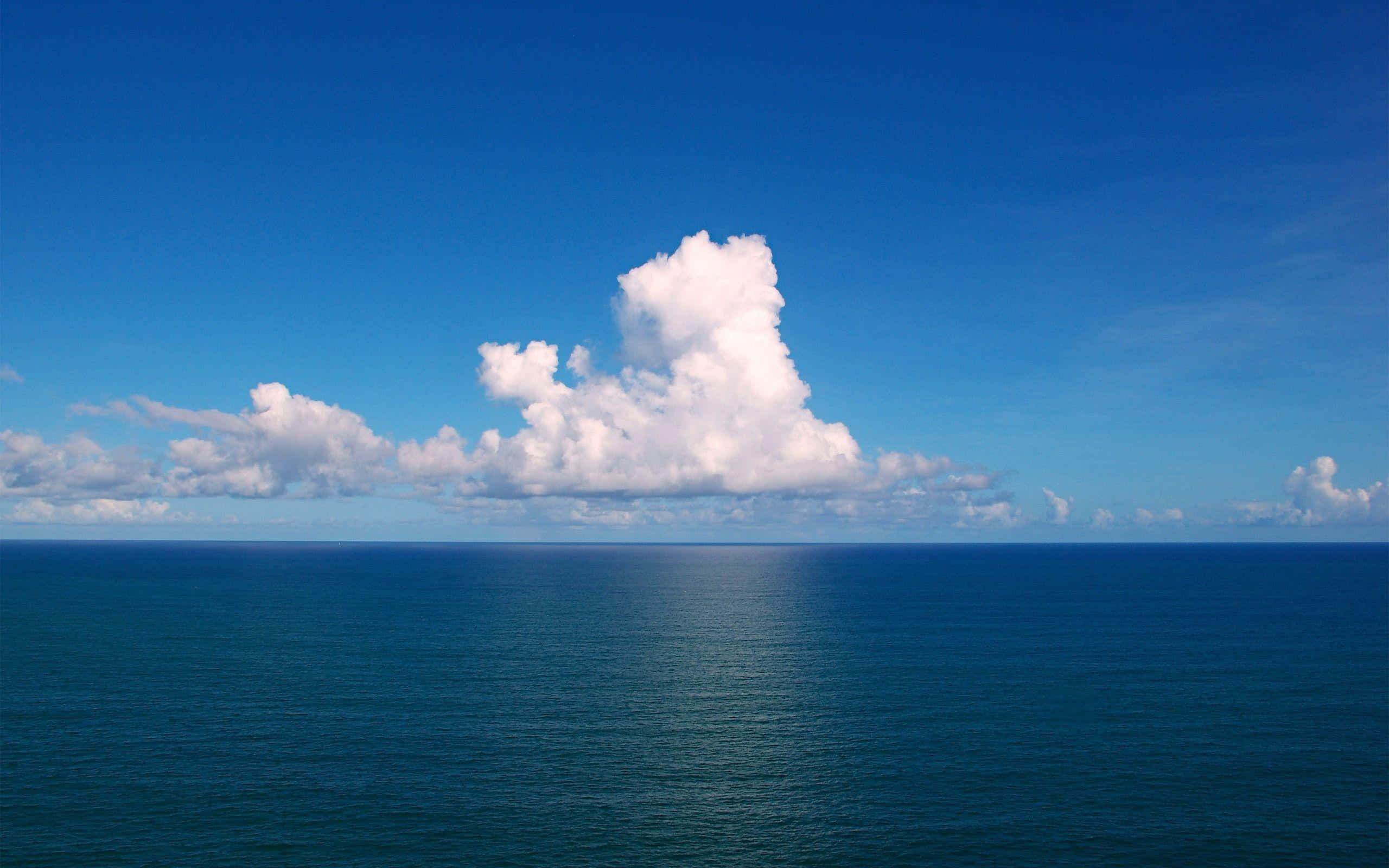 Beautiful Ocean 桌布 壁紙 — 廣闊深藍海洋與晴朗天空相遇，地平線上有單一戲劇性的白色雲層。
