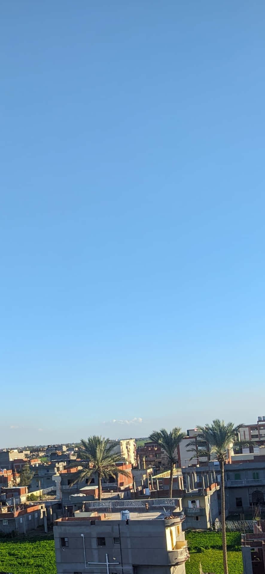 wallpaper 壁紙 — 廣闊清澈的藍天主宰著密集的城市景觀，棕櫚樹和陶土屋頂點綴其間。