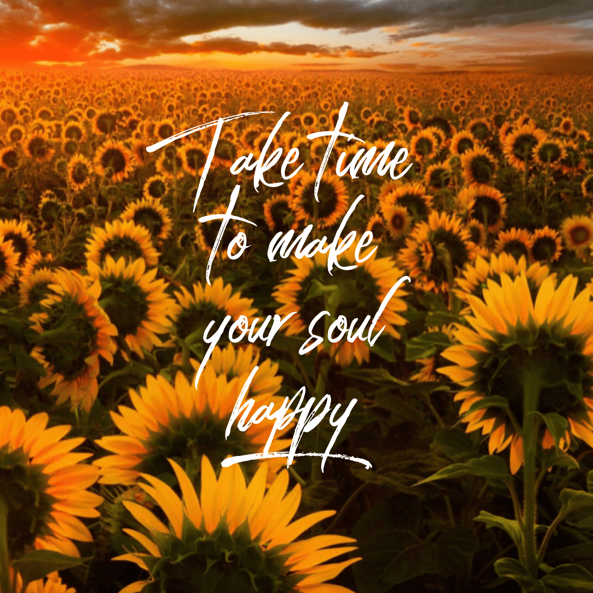 Motivational Quotes 桌布 壁紙 — 廣闊的向日葵田沐浴在金色的日落光芒中，並疊加了鼓舞人心的文字。