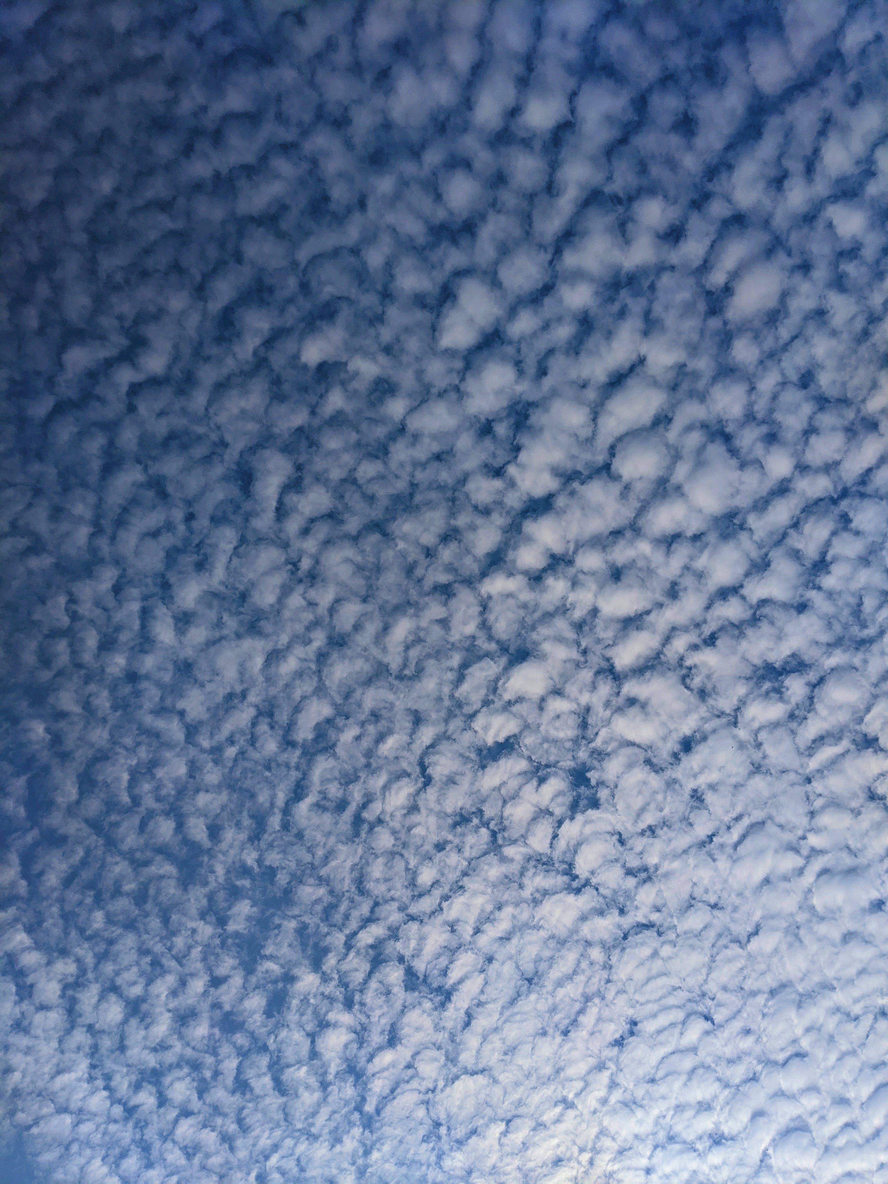 雲朵 桌布 壁紙 — 廣闊的天空中佈滿了細膩蓬鬆的白雲，襯托著深藍色的背景，營造出寧靜且富有紋理的圖案。