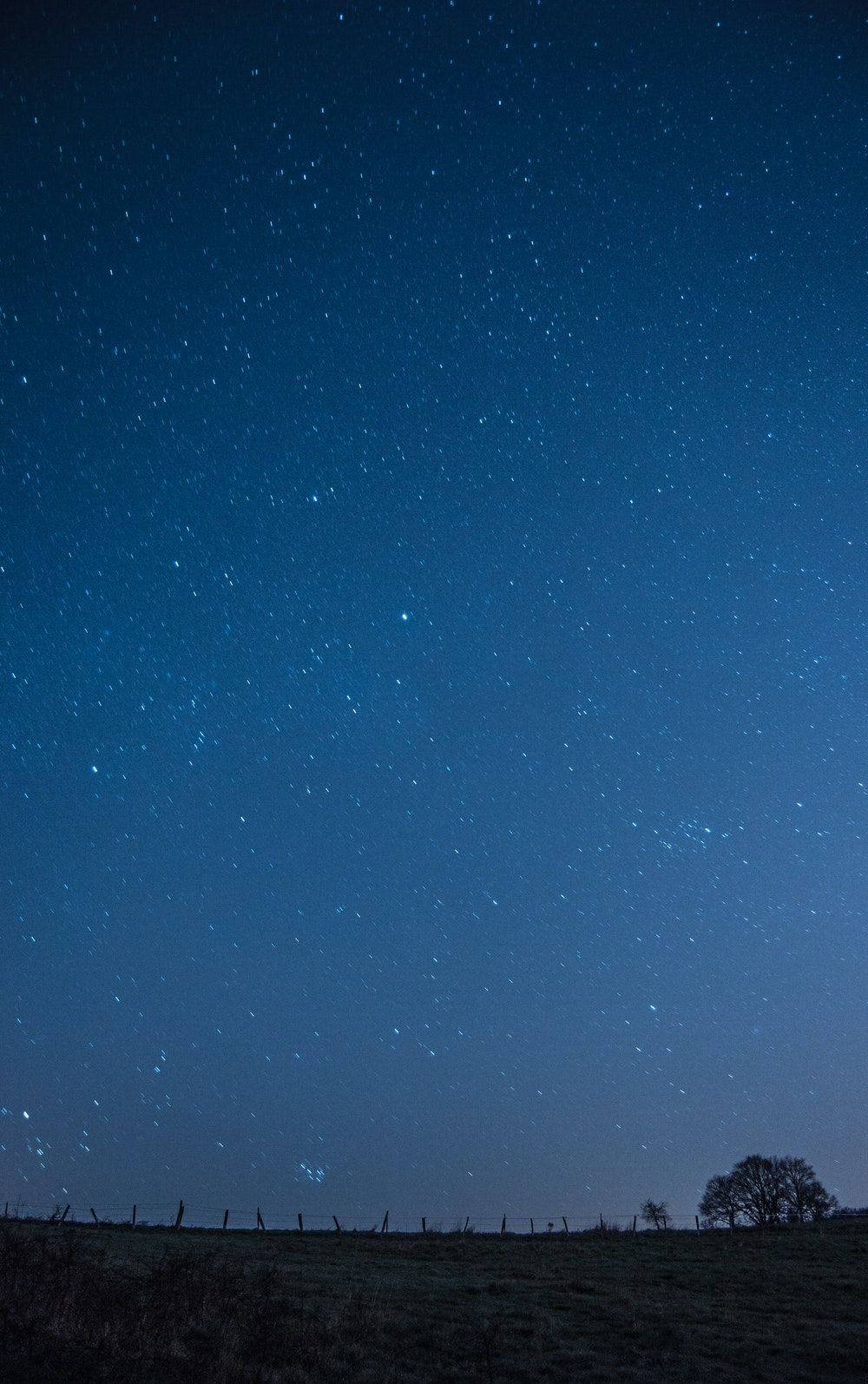 Blue Sky 桌布 壁紙 — 廣闊的星空夜空主導著上方有籬笆和孤樹的黑暗剪影田野。