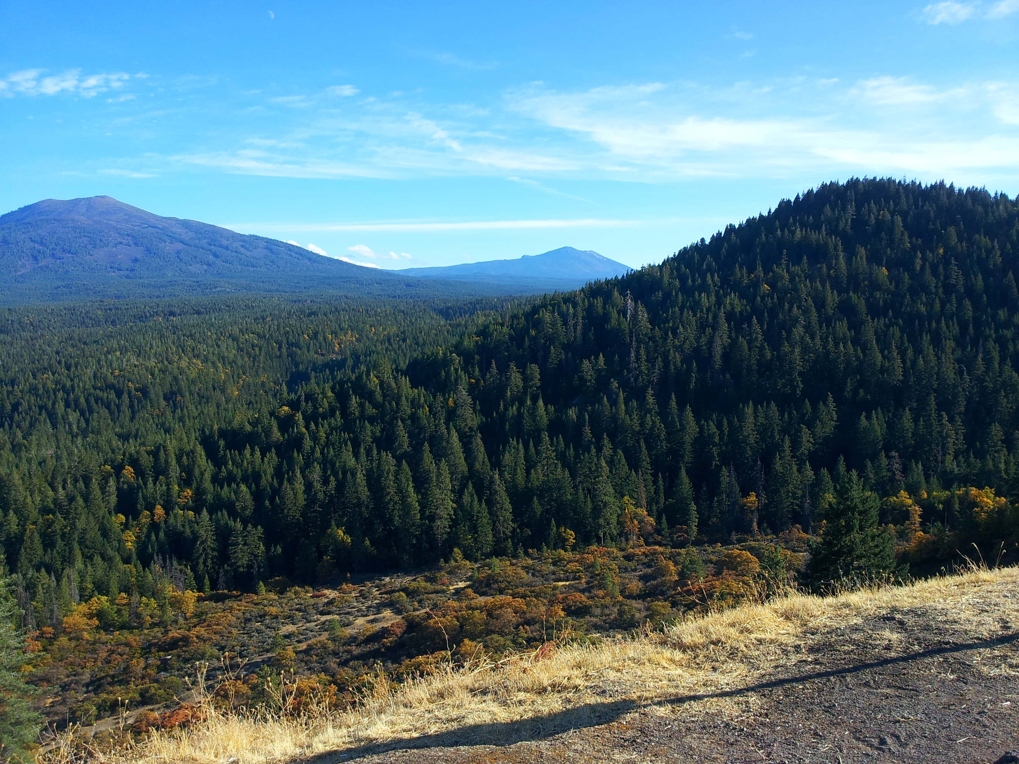 California Mountain 桌布 壁紙 — 廣闊的森林山谷在清澈的藍天下延伸，遠山勾勒出地平線。