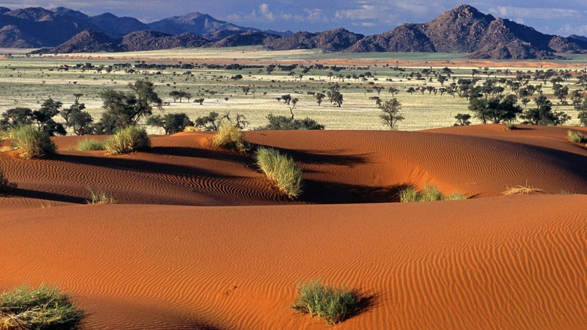 Namibia 桌布 壁紙 — 廣闊的橙色沙丘在明亮的陽光下起伏，遠山和散落的綠色灌木點綴在乾旱的景觀中。