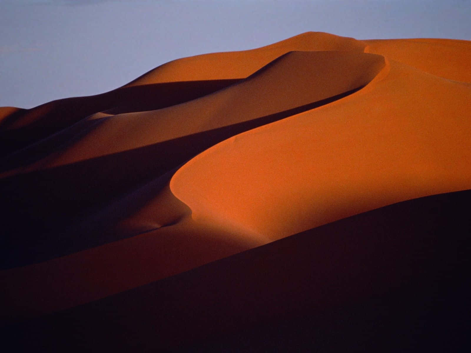 Sand Dunes 桌布 壁紙 — 廣闊的橙色沙丘在柔和暮光下蜿蜒，於其紋理表面投下深邃陰影。