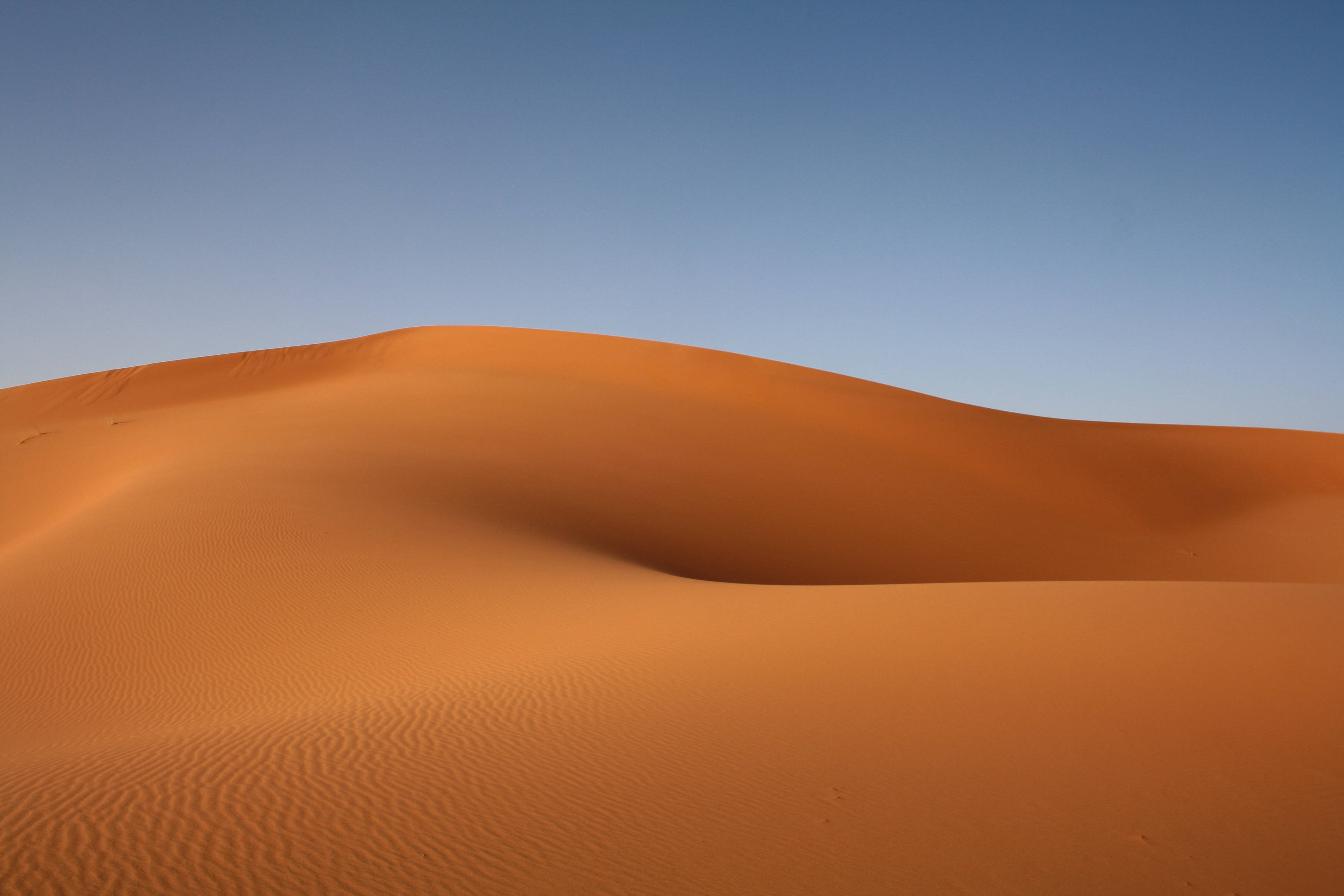 Desert 桌布 壁紙 — 廣闊的橙色沙丘在清澈的藍天下起伏，呈現寧靜的沙漠景觀。