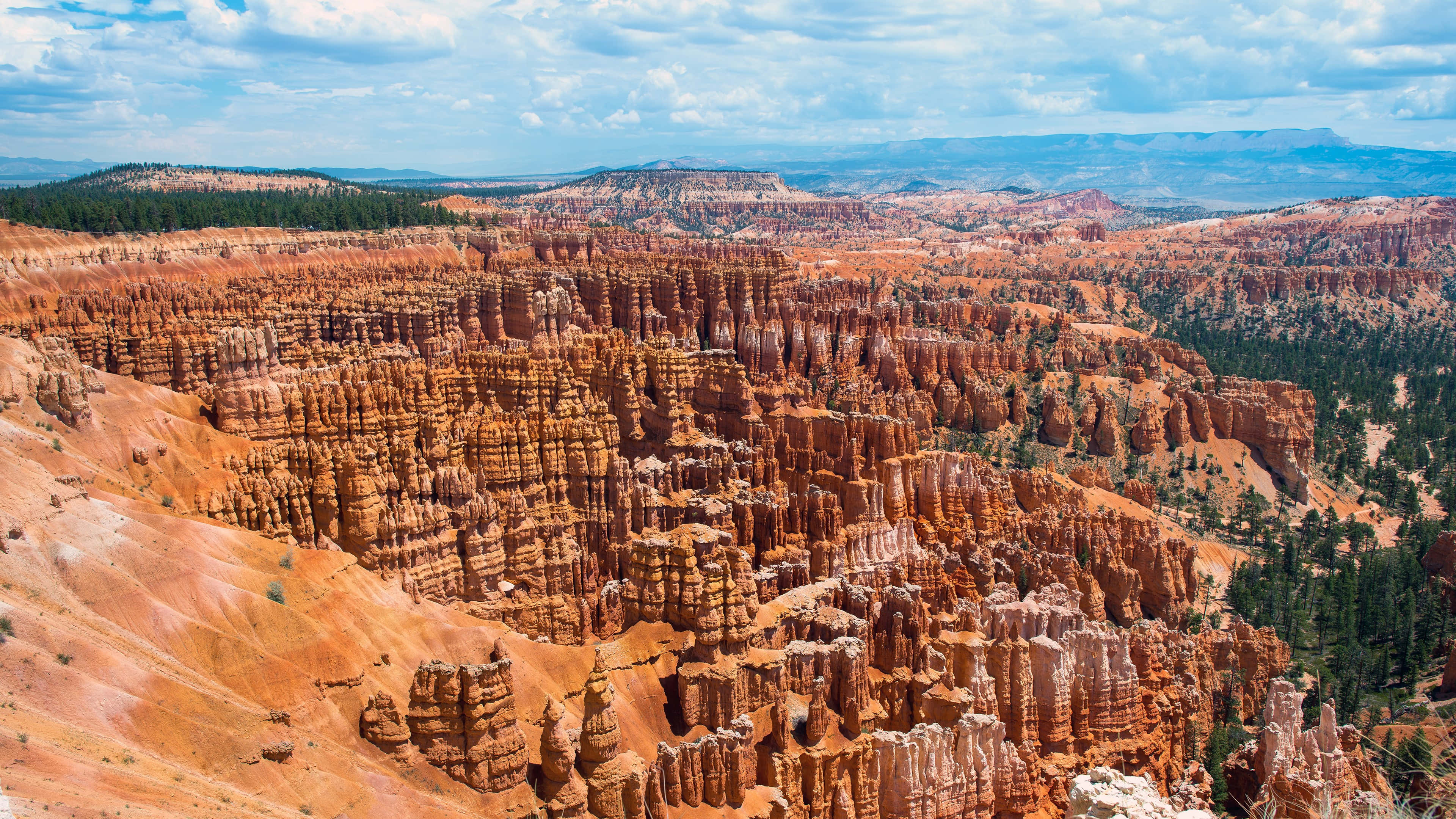 National Parks 桌布 壁紙 — 廣闊的橙色石林峽谷在明亮的藍天下延伸，點綴著蓬鬆的白雲。