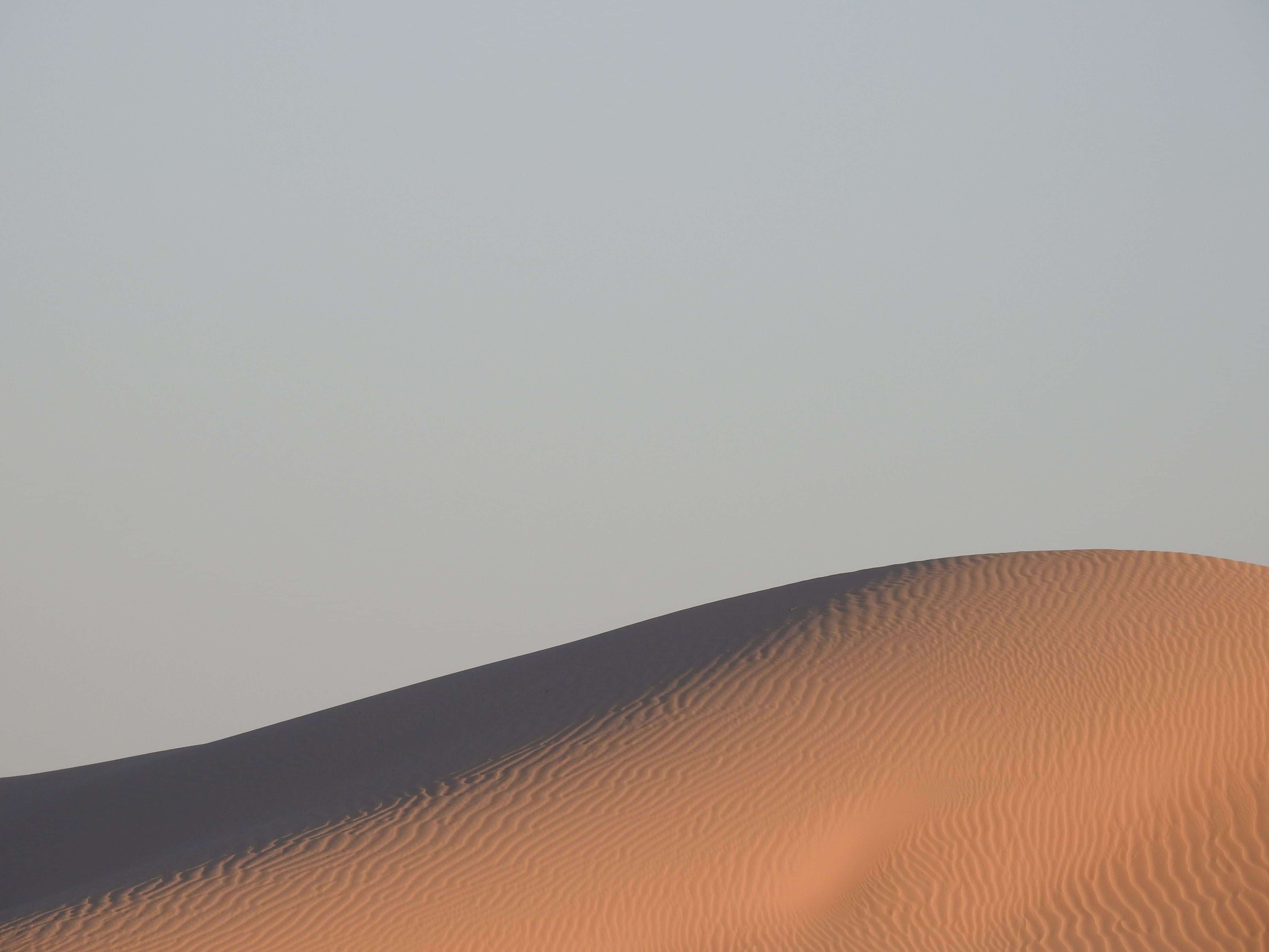 Uae 桌布 壁紙 — 廣闊的沙漠沙丘，在蒼白的天空下呈現出波紋狀的沙曲線，營造出極簡而寧靜的景觀。