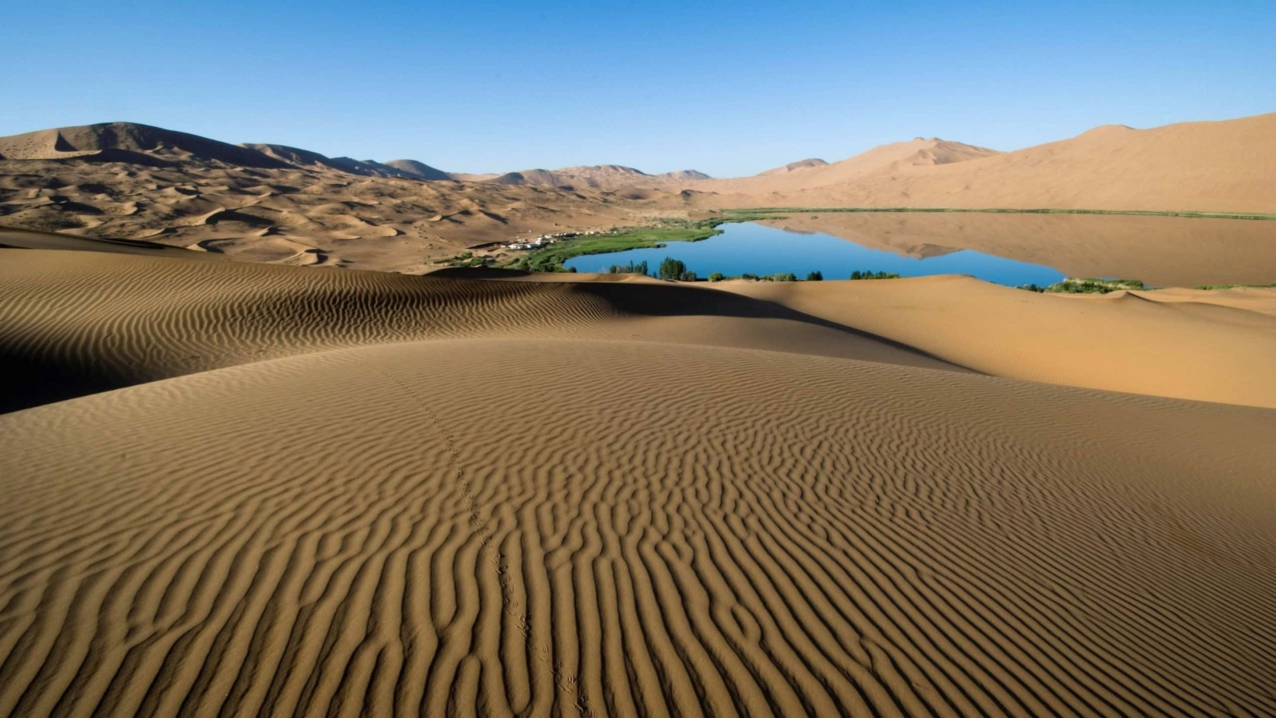 Sand Dunes 桌布 壁紙 — 廣闊的波紋沙丘延伸至寧靜的藍色湖泊，湖泊坐落在遠山之間，天空清澈。