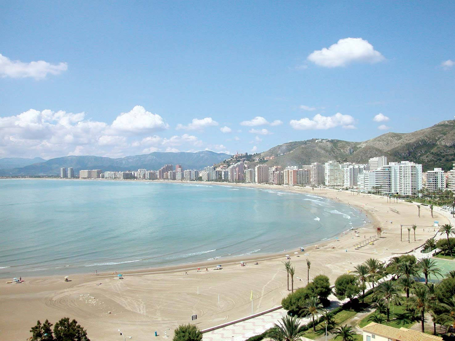 Buildings 桌布 壁紙 — 廣闊的海岸景觀，沙灘上排列著棕櫚樹和現代建築，明亮的藍天中點綴著幾朵雲。