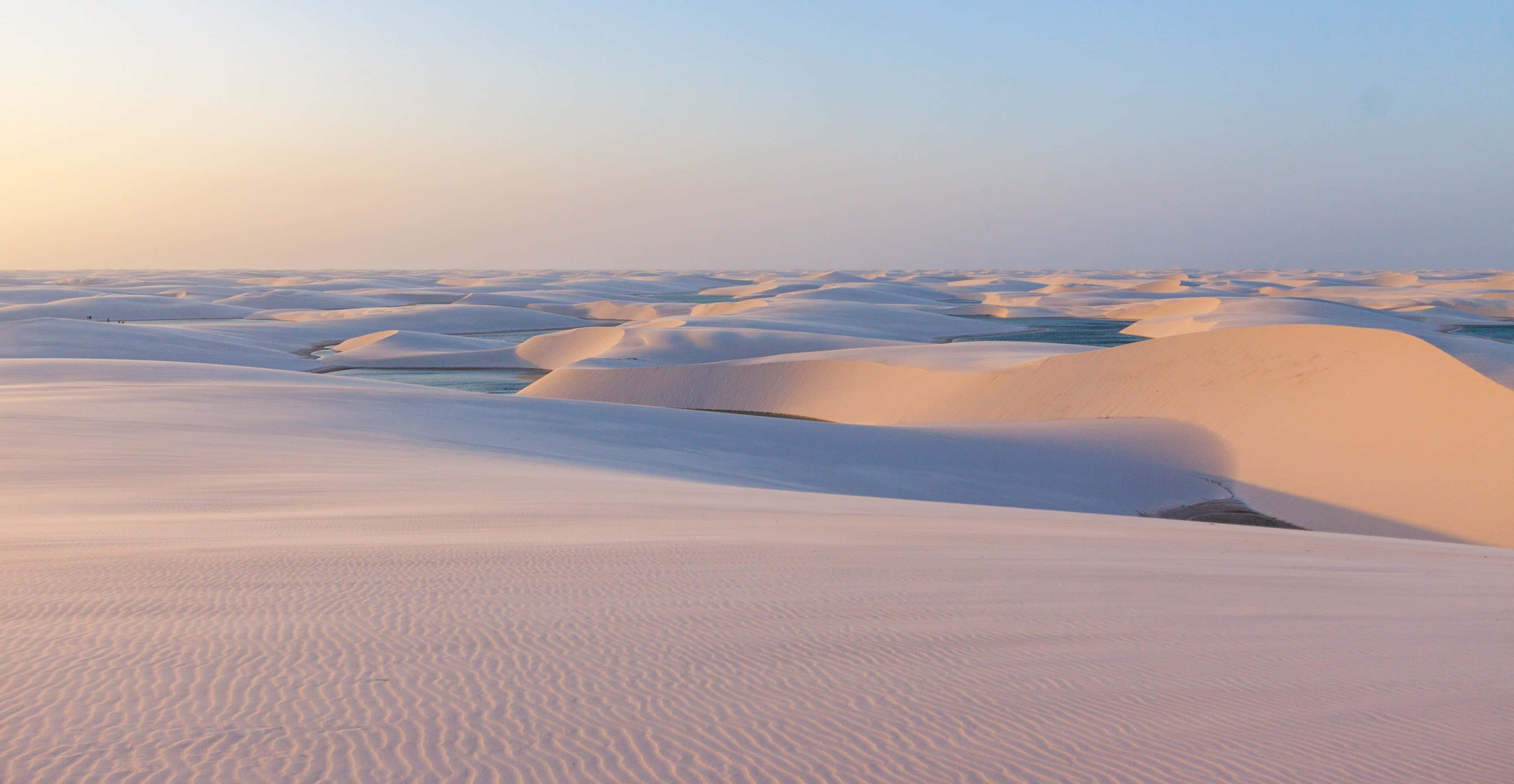 Sand Dunes 桌布 壁紙 — 廣闊的白色沙丘在柔和的金色光線下起伏，山谷間散落著碧綠色的水池。