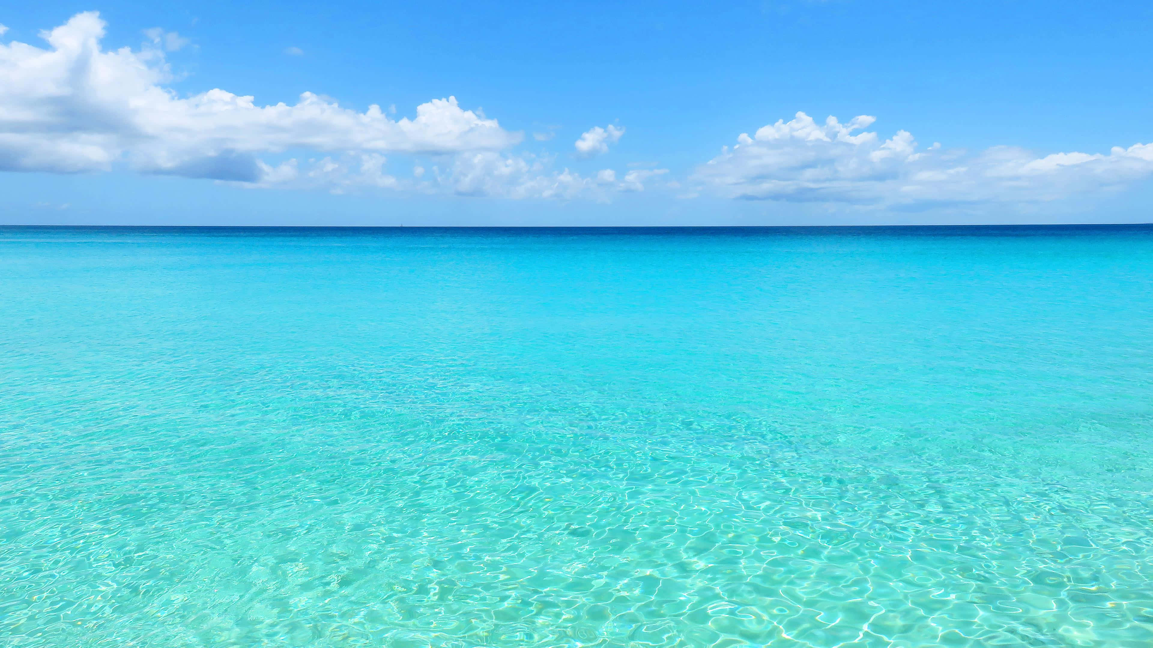 Caribbean 桌布 壁紙 — 廣闊的碧綠海洋在明亮的藍天和白雲下延伸至地平線。