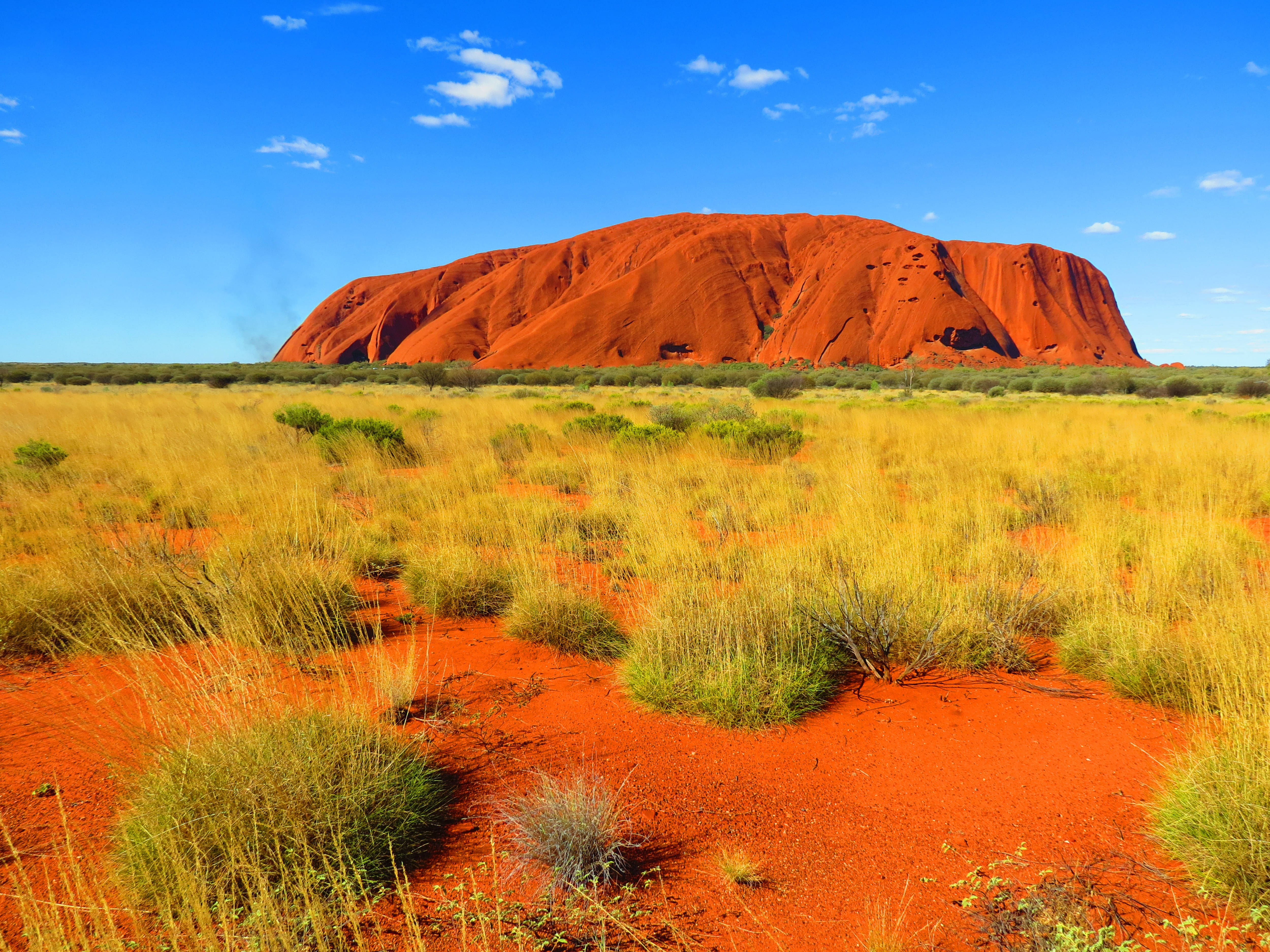Australian Outback 桌布 壁紙 — 廣闊的紅色沙漠景觀，稀疏的黃色草叢和標誌性的烏魯魯岩石，在明亮的藍天和散落的雲朵下。