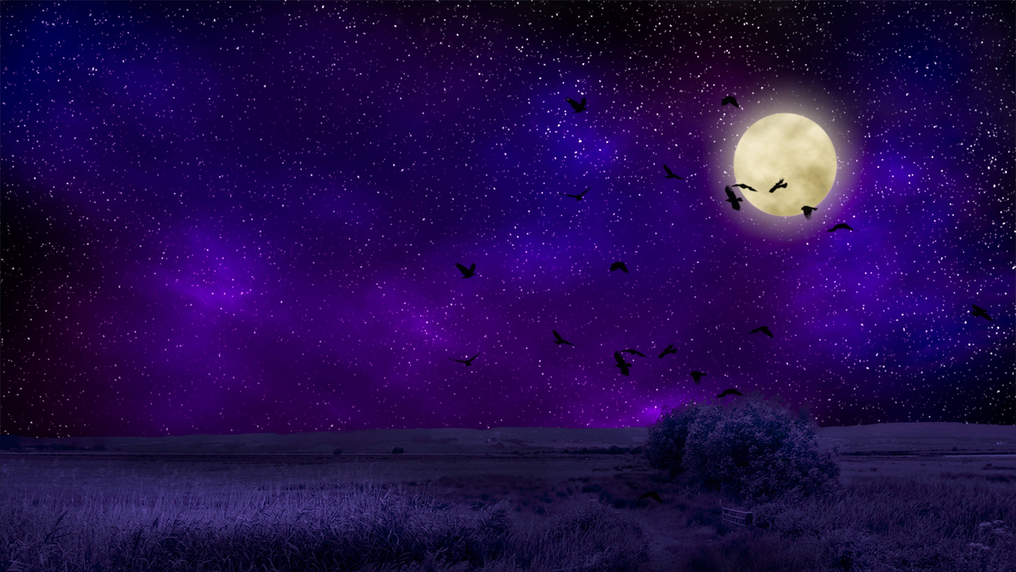 夜空 桌布 壁紙 — 廣闊的紫色夜空佈滿星星和發光的滿月，剪影鳥兒飛過黑暗的田野，田野中有一棵孤獨的灌木。