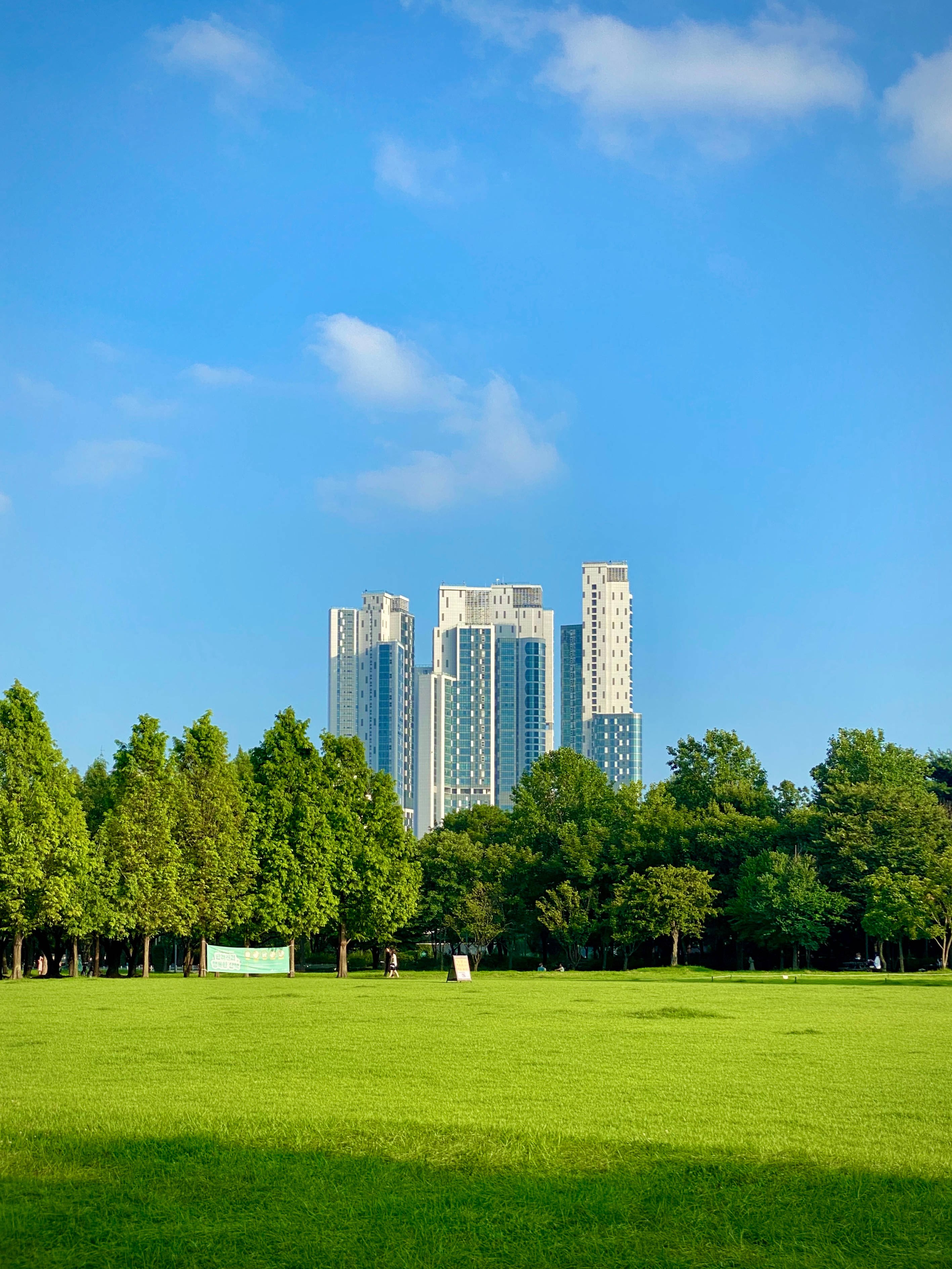 Grass 桌布 壁紙 — 廣闊的綠色公園草坪延伸至高大的現代摩天大樓，天空湛藍，白雲點綴。