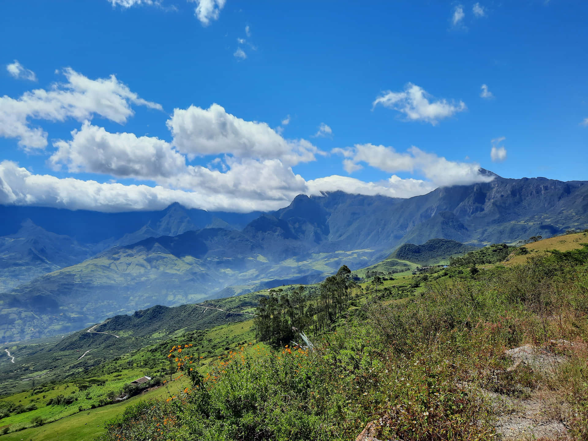 Naturaleza 壁紙 — 廣闊的綠色山谷在明亮的天空下，在雄偉的藍色山脈下延伸，天空中有蓬鬆的白雲。