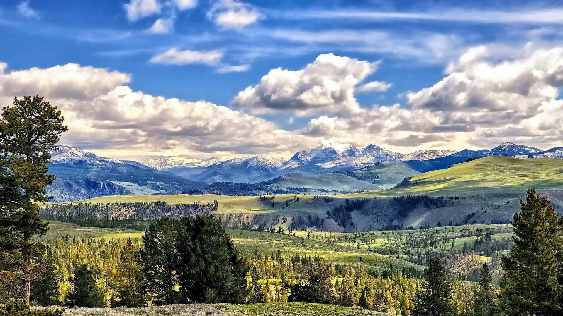 Yellowstone 桌布 壁紙 — 廣闊的綠色山谷延伸至積雪覆蓋的山脈，明亮的藍天下有蓬鬆的白雲。
