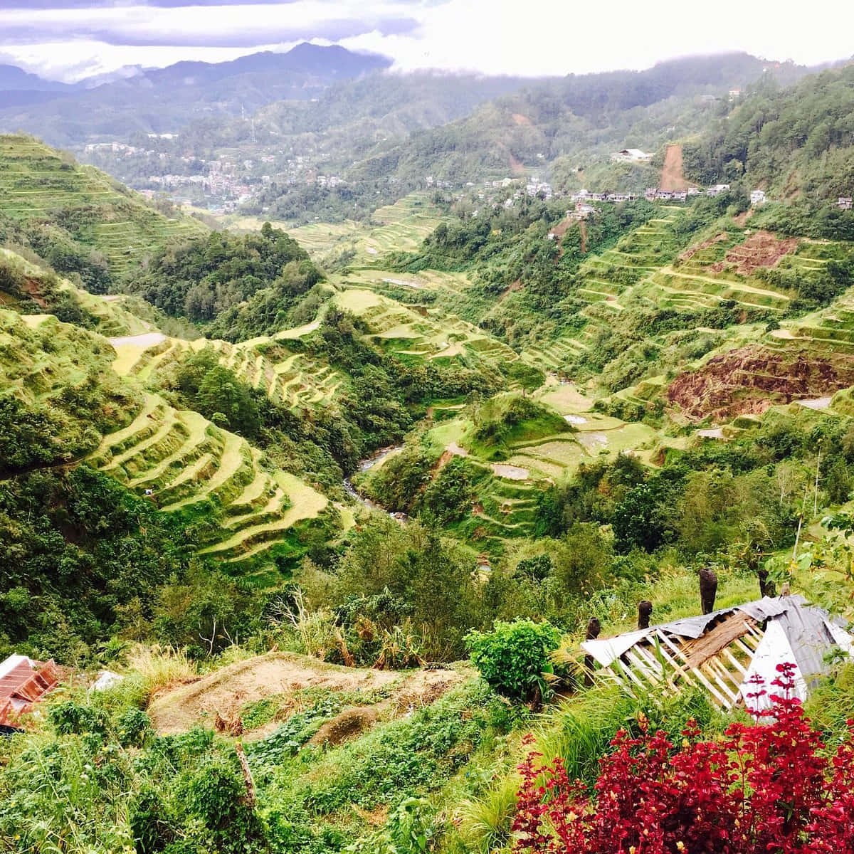 山景 桌布 壁紙 — 廣闊的綠色梯田沿著霧氣繚繞的山坡層層疊疊，山谷中坐落著一個小村莊。