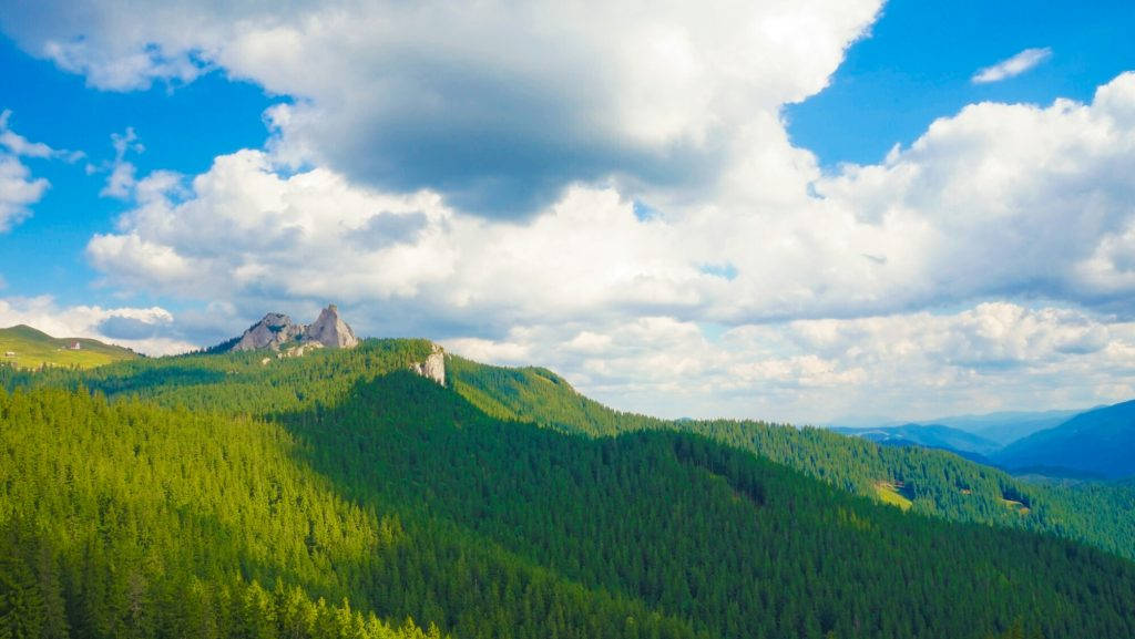 Romania 桌布 壁紙 — 廣闊的綠色森林覆蓋的山脈在點綴著蓬鬆白雲的明亮藍天下升起。