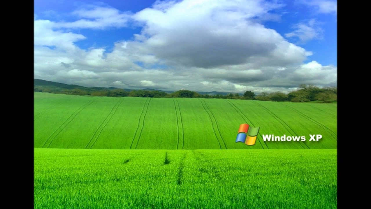 綠色田野，天空多雲，帶有Windows XP標誌