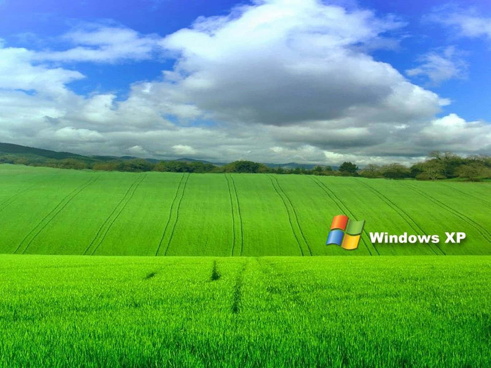 藍天白雲下的綠色田野，有拖拉機軌跡和Windows XP標誌。