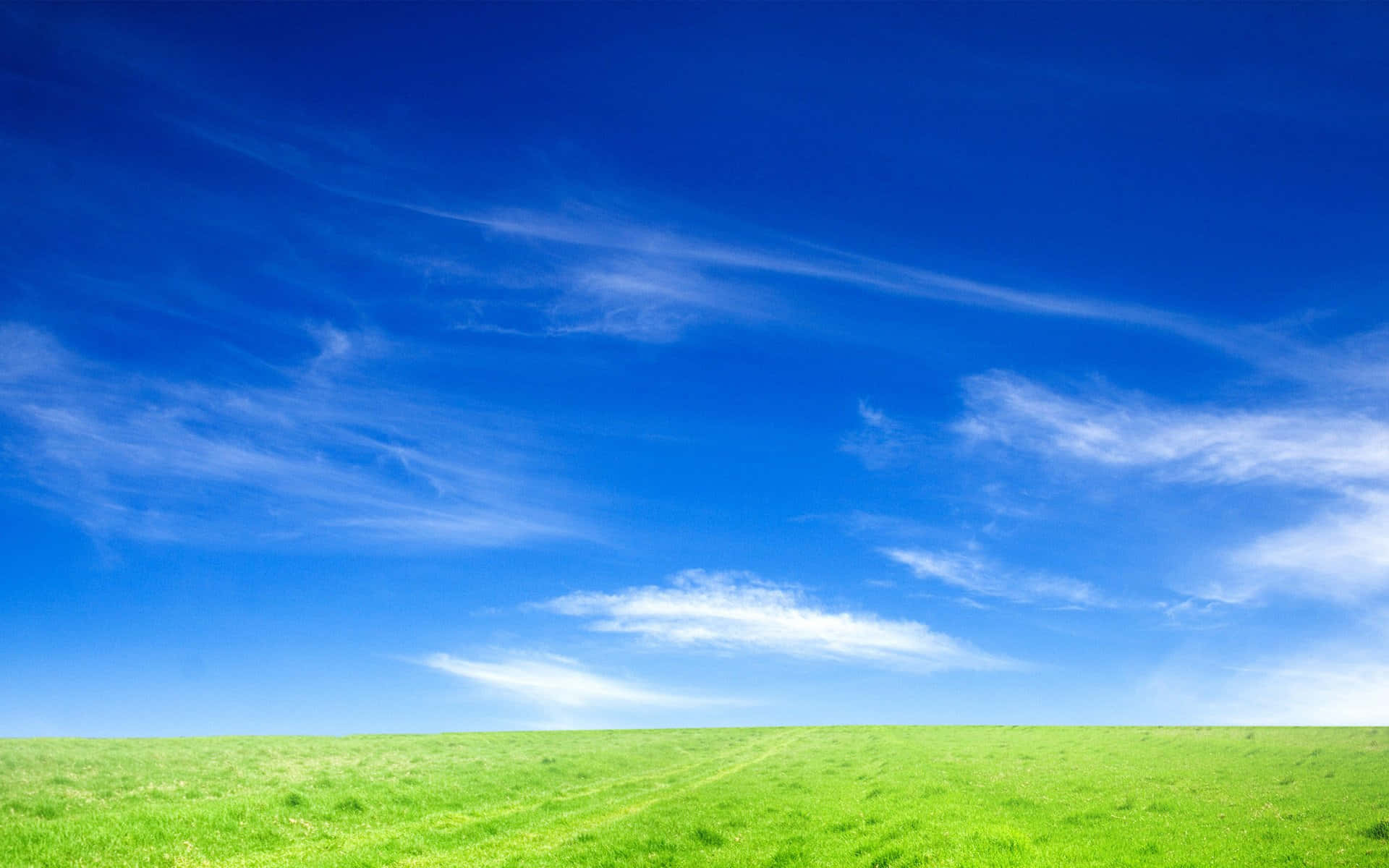 Blue Sky 桌布 壁紙 — 廣闊的綠色田野在明亮的藍天下延伸，縷縷白雲飄過。