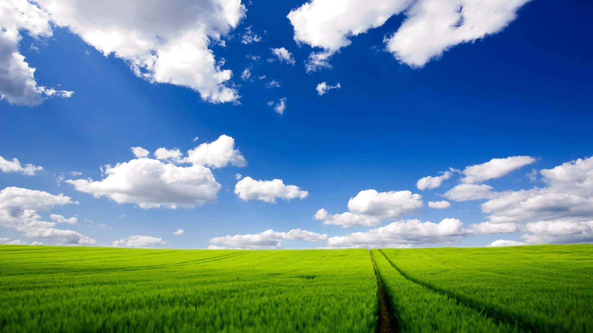 Windows Xp Logo 桌布 壁紙 — 廣闊的綠色田野在明亮的藍天下延伸，有蓬鬆的白雲和一條蜿蜒的泥土小徑通向遠方。