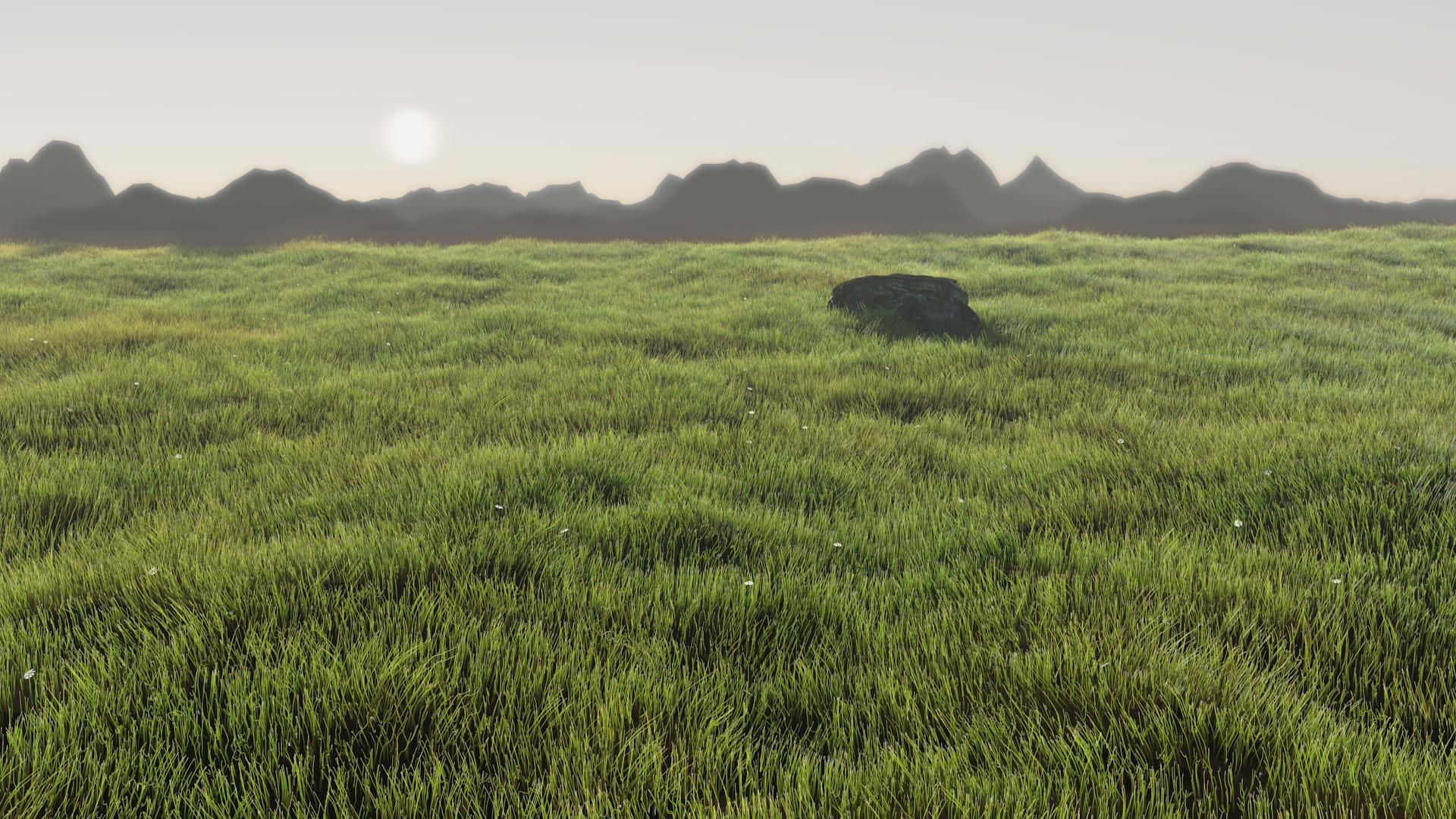 Grassy 桌布 壁紙 — 廣闊的綠色草地延伸至遠處鋸齒狀的山脈，天空蒼白，陽光明媚。