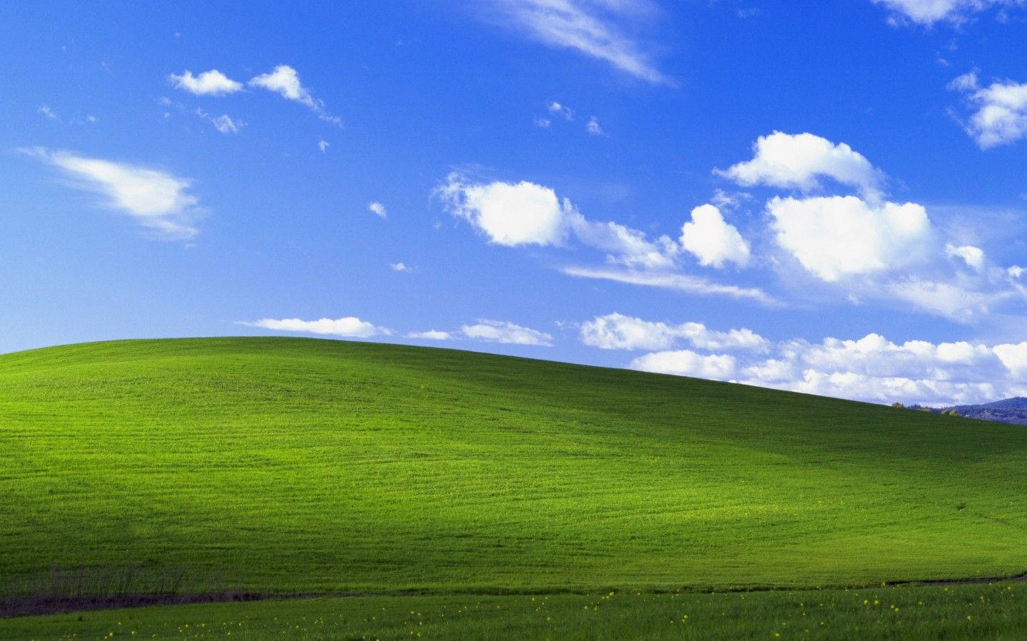 Windows 桌布 壁紙 — 廣闊的綠色起伏山丘，在明亮的藍天下有蓬鬆的白雲。
