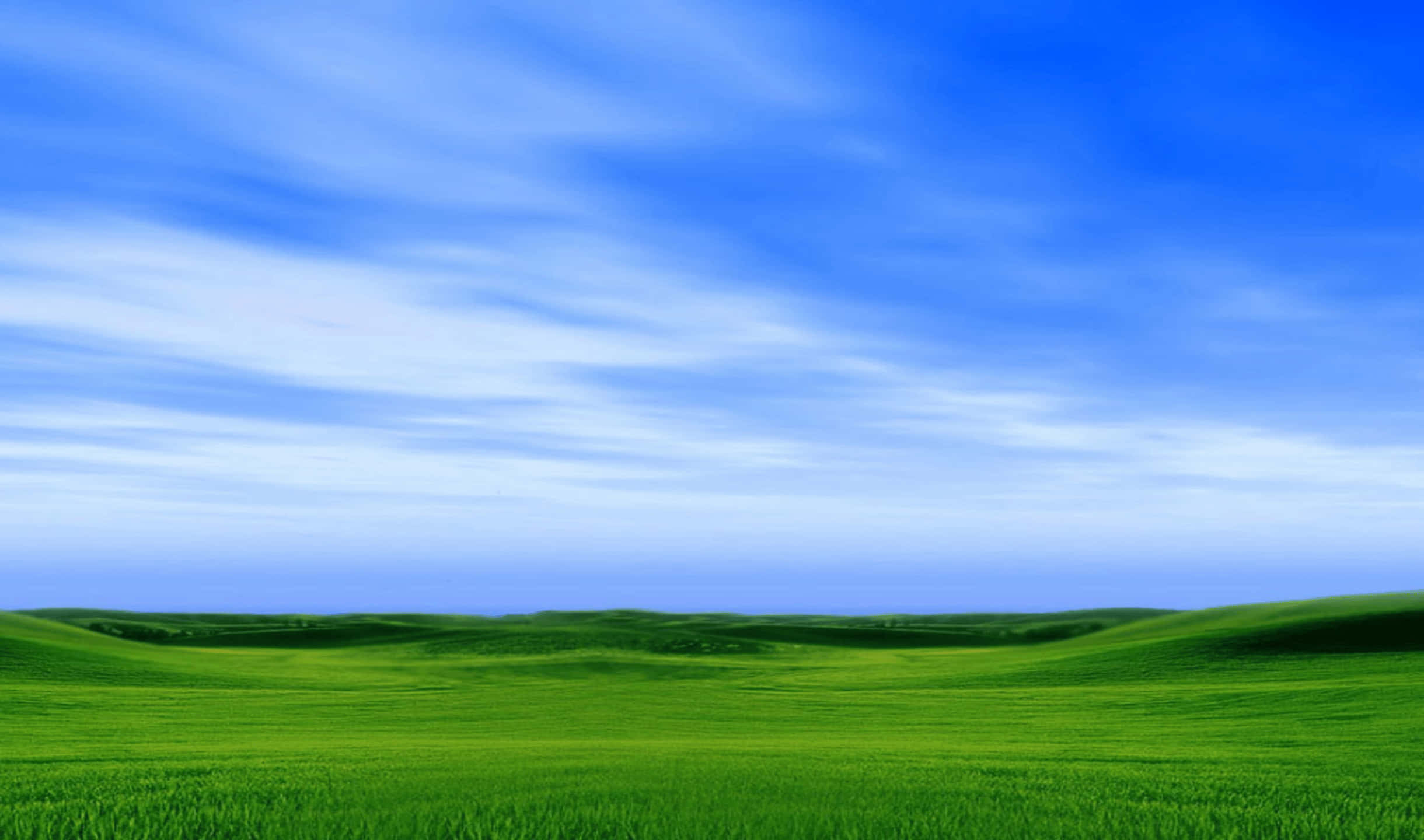 2440x1440 Monitor 桌布 壁紙 — 廣闊的綠色起伏田野在明亮的藍天下延伸，天空點綴著縷縷白雲。