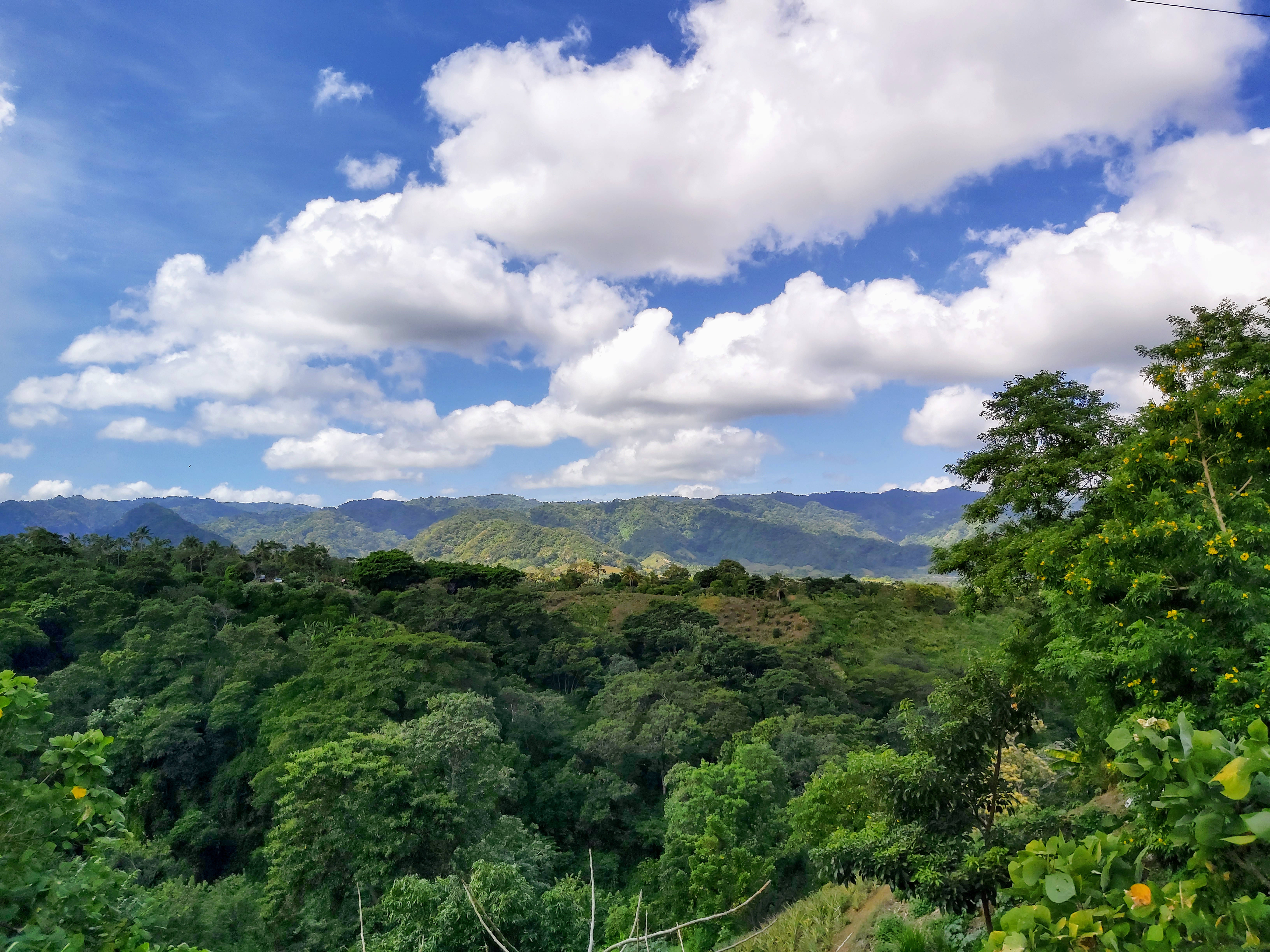 Nicaragua 桌布 壁紙 — 廣闊的翠綠叢林在點綴著蓬鬆白雲的明亮藍天下延伸。