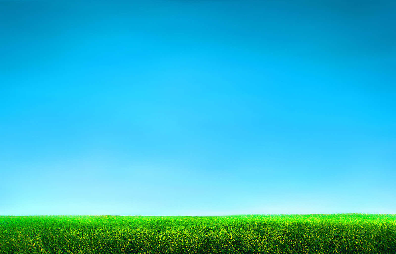 Green Grass 桌布 壁紙 — 廣闊的翠綠草地在一片晴朗的漸變藍天下延伸，陽光明媚。