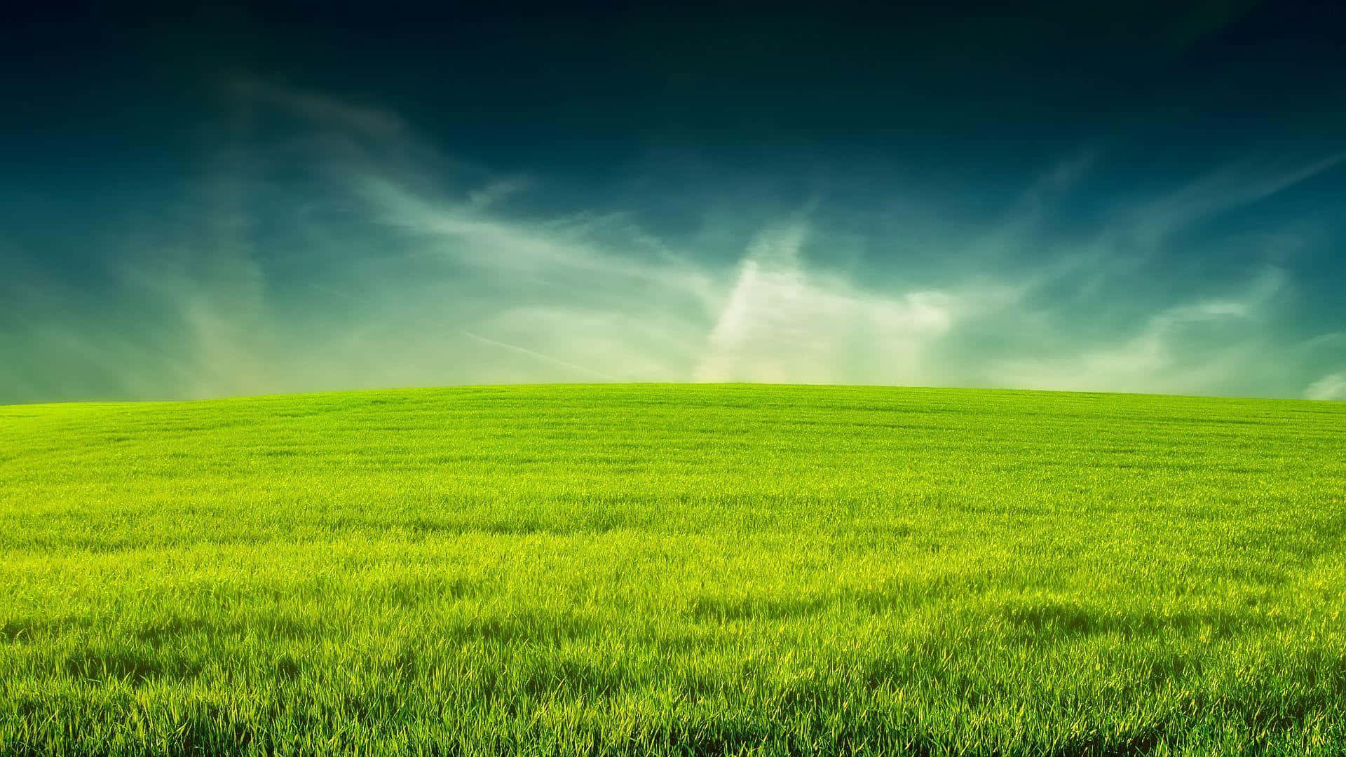Green Grass 桌布 壁紙 — 廣闊的翠綠草地延伸至天際，戲劇性的天空下，陽光穿透烏雲灑落。