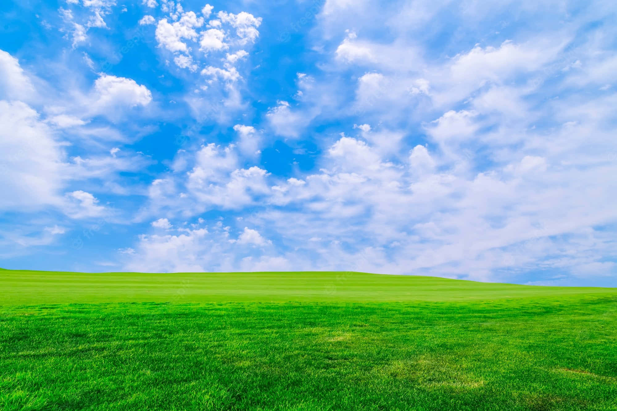 Nature Landscape 桌布 壁紙 — 廣闊的翡翠綠色草地在一片充滿蓬鬆白雲的明亮藍天下延伸。