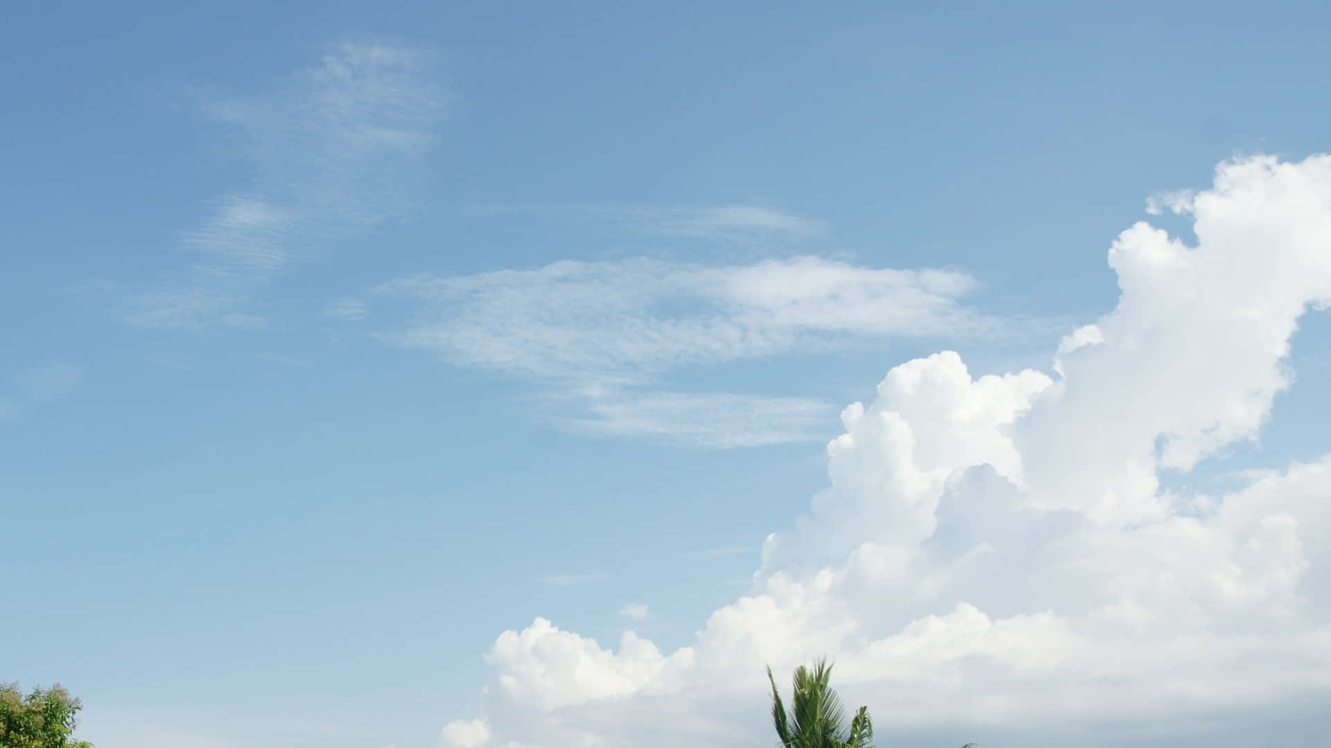 Sky Clouds 桌布 壁紙 — 廣闊的藍天充滿蓬鬆的白雲和從下方窺視的綠色樹梢。